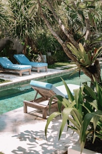 a pool with chairs and a tree