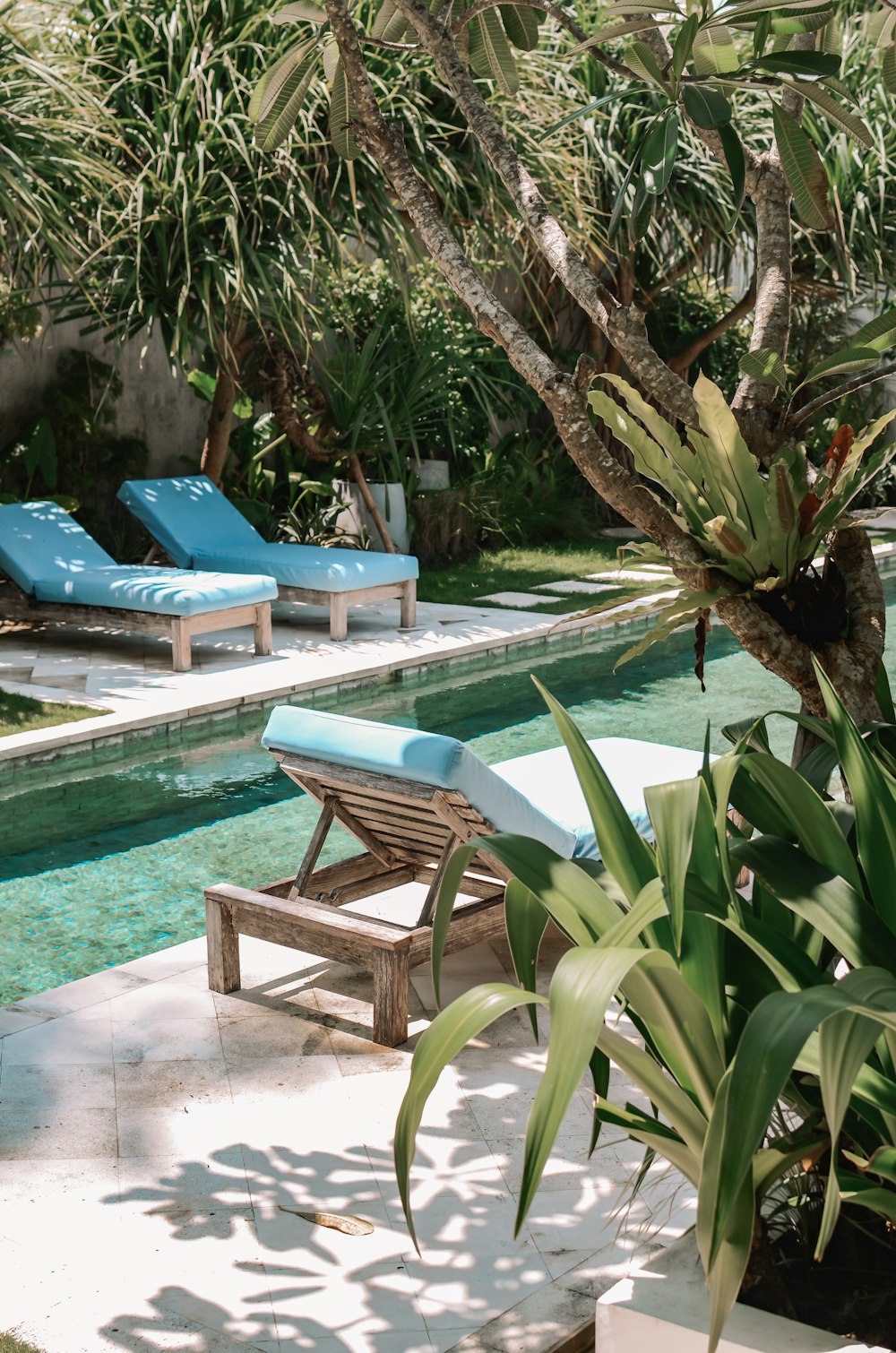 ein Pool mit Stühlen und einem Baum