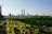 An urban rooftop garden with lush, green vegetation and leafy plants dominates the foreground. Beyond the garden, a city skyline is visible under a clear blue sky, featuring skyscrapers and industrial chimneys.