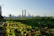 An urban rooftop garden with lush, green vegetation and leafy plants dominates the foreground. Beyond the garden, a city skyline is visible under a clear blue sky, featuring skyscrapers and industrial chimneys.