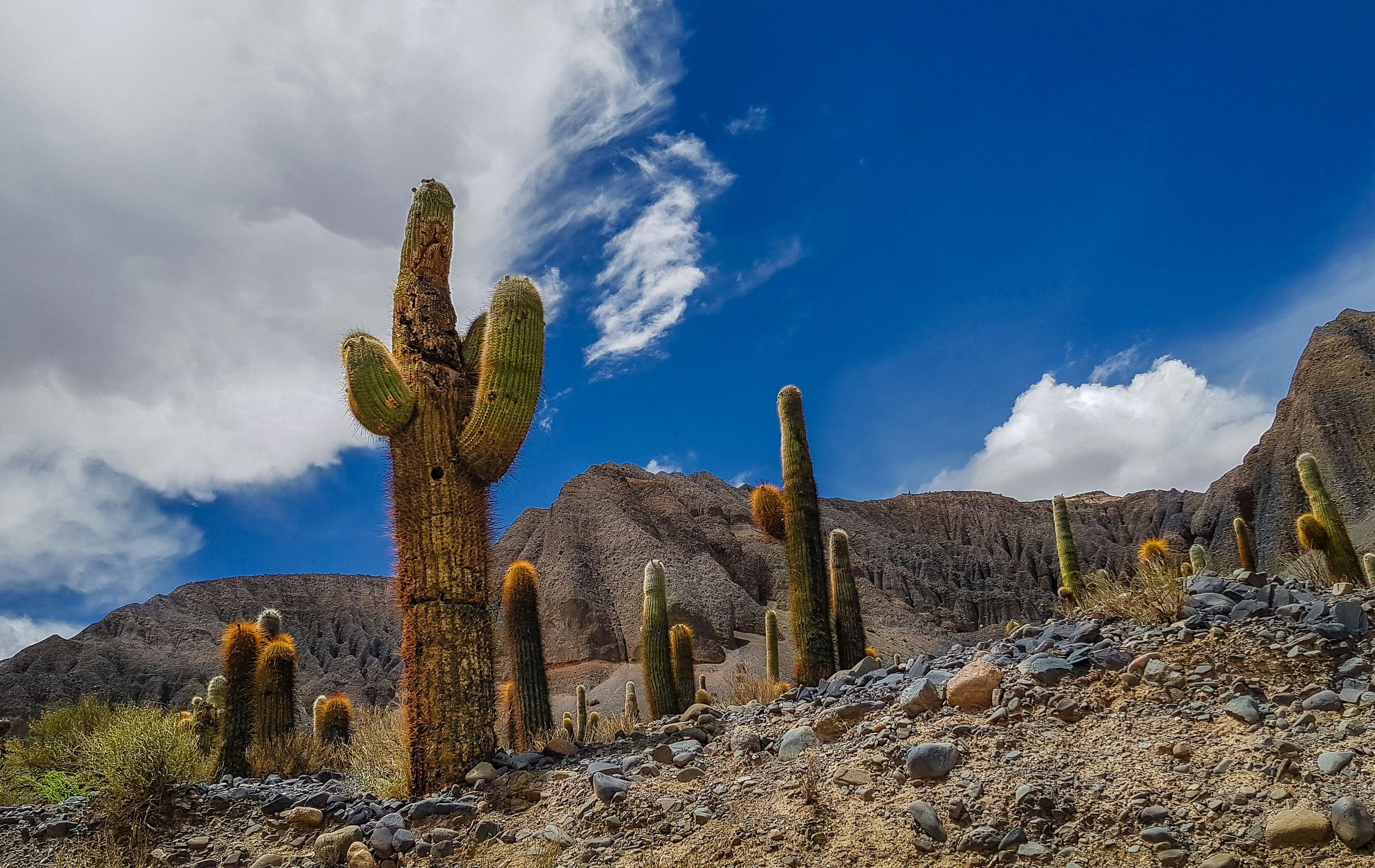 Photo by argentinanatural