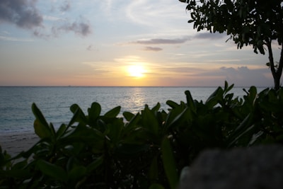 a sunset over a body of water