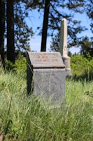 Close-up of a restored headstone with refreshed black inscriptions glistening under gentle sunlight.