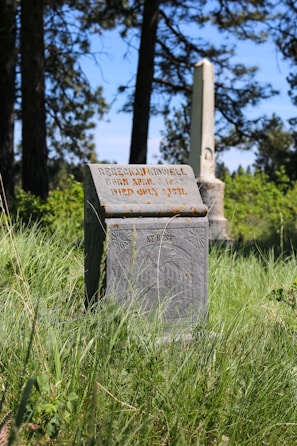 Close-up of a restored headstone with refreshed black inscriptions glistening under gentle sunlight.