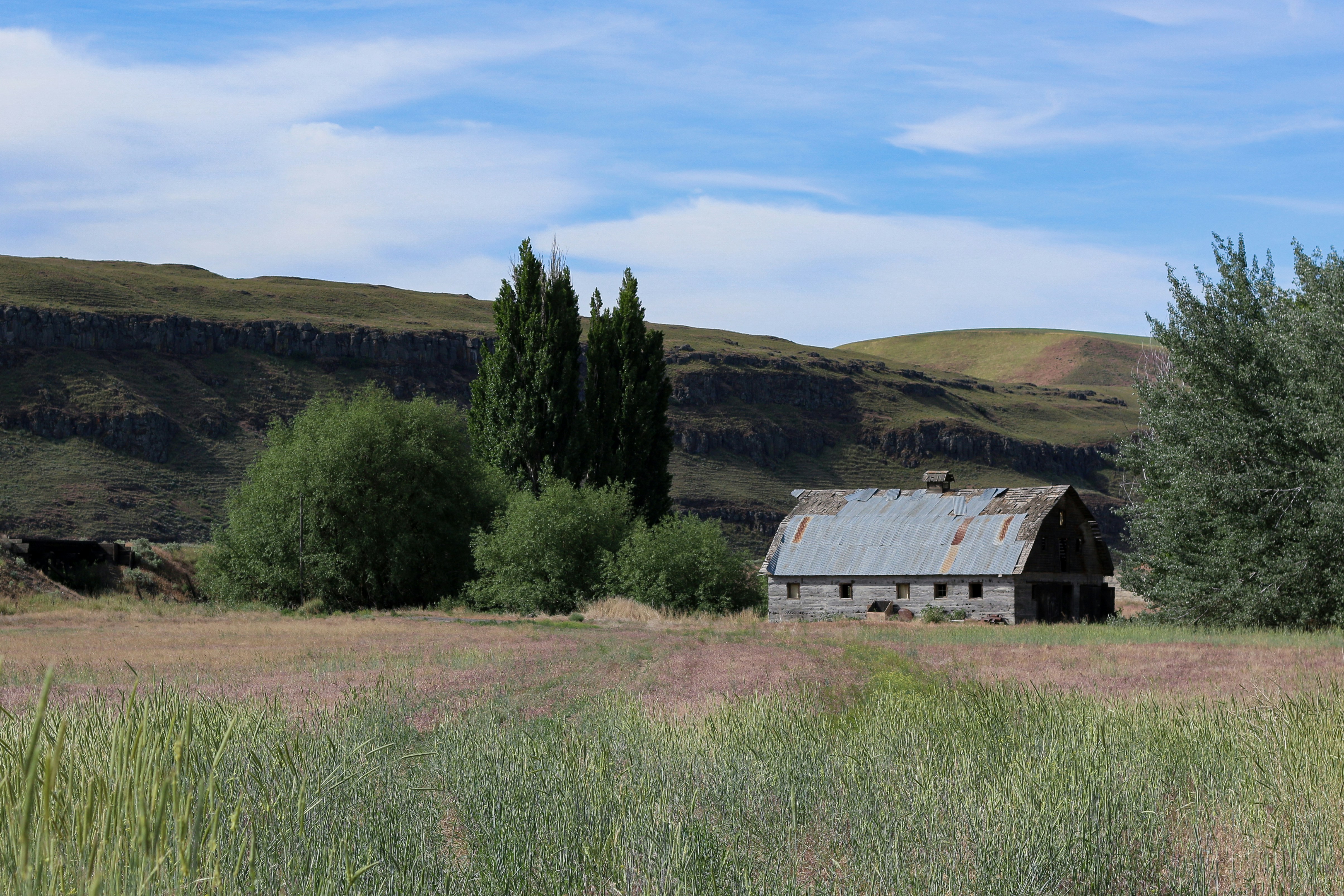 Photo by walloftheo