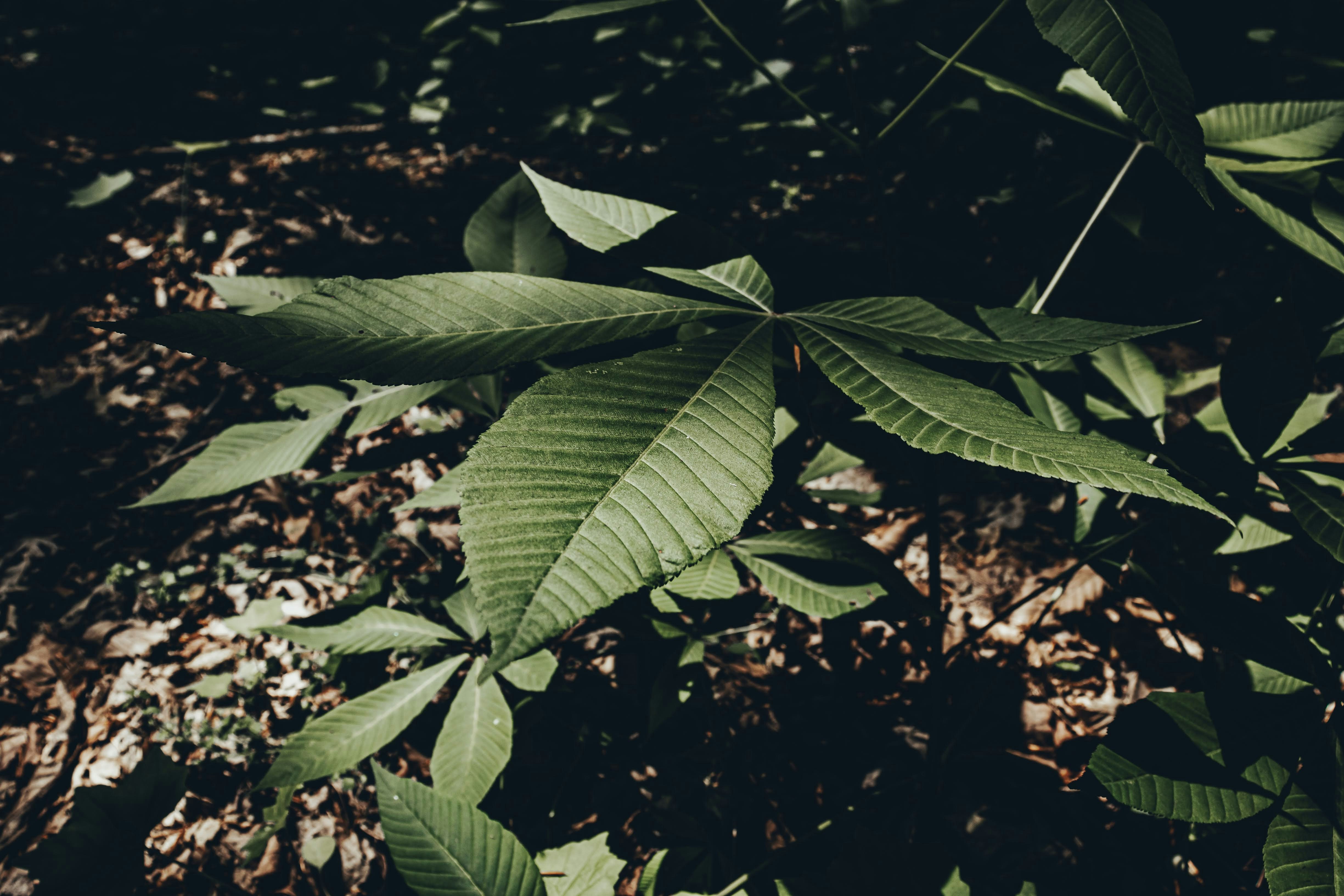 Photo by brice_cooper18