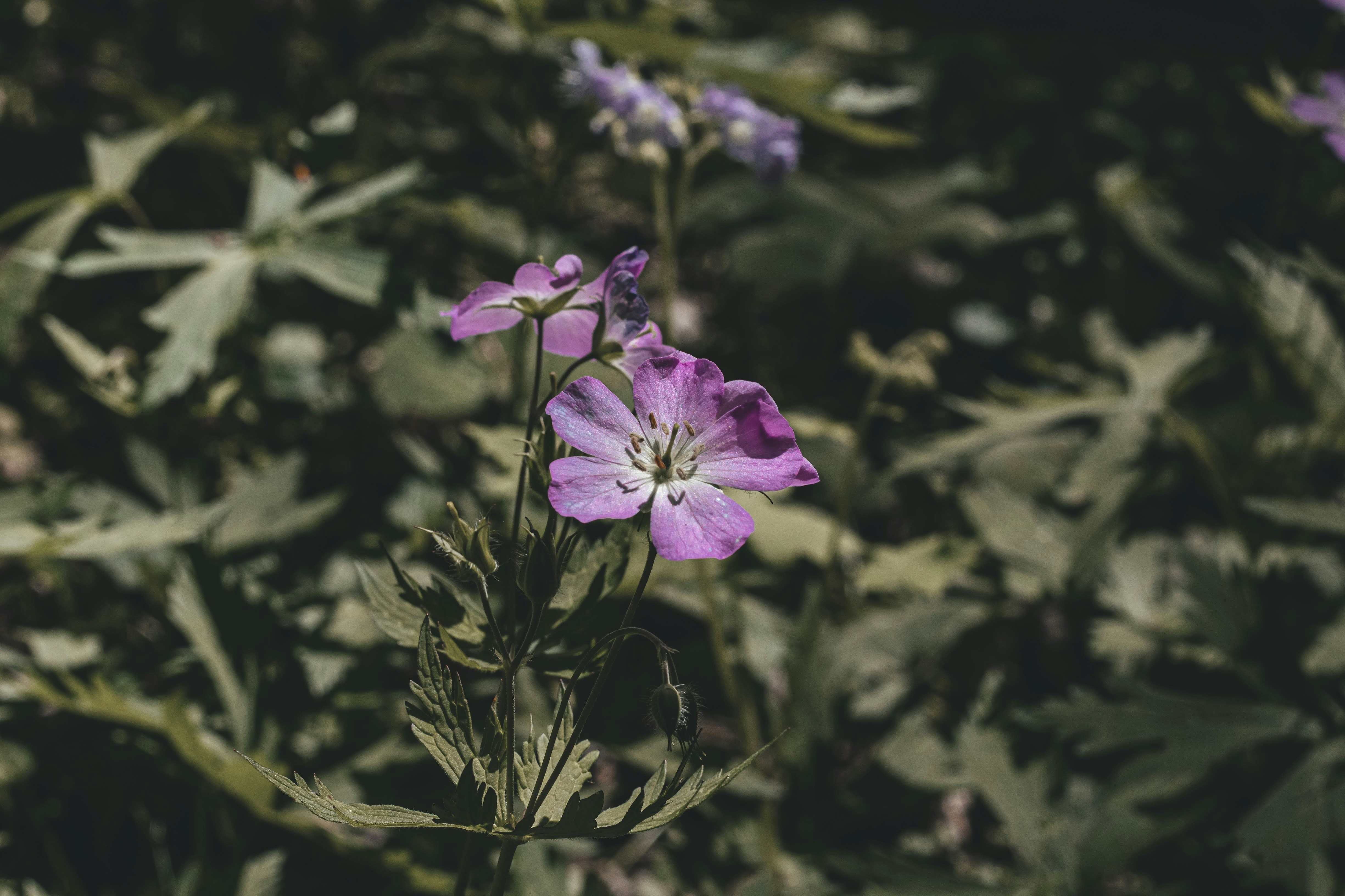 Photo by brice_cooper18