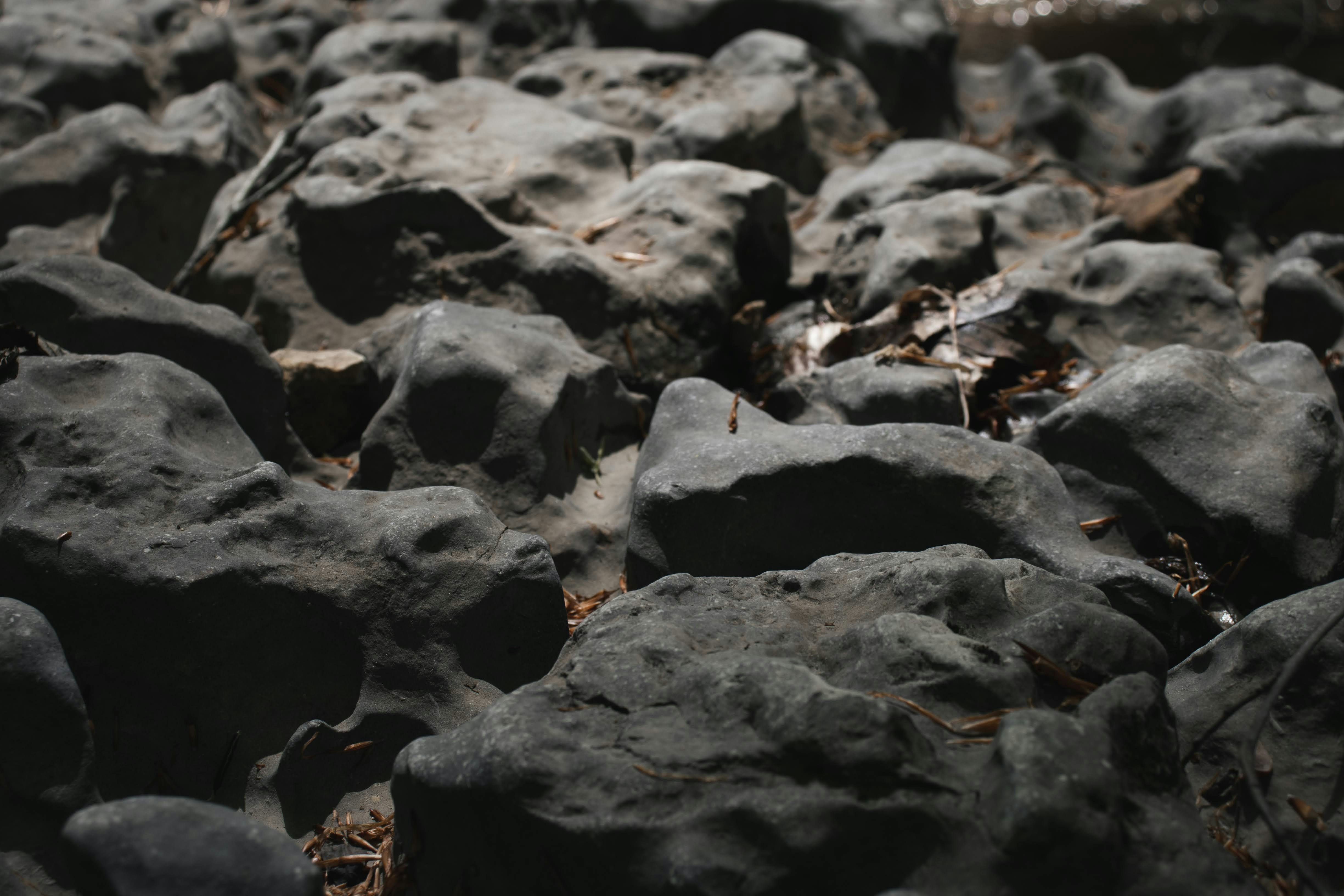 Photo by brice_cooper18