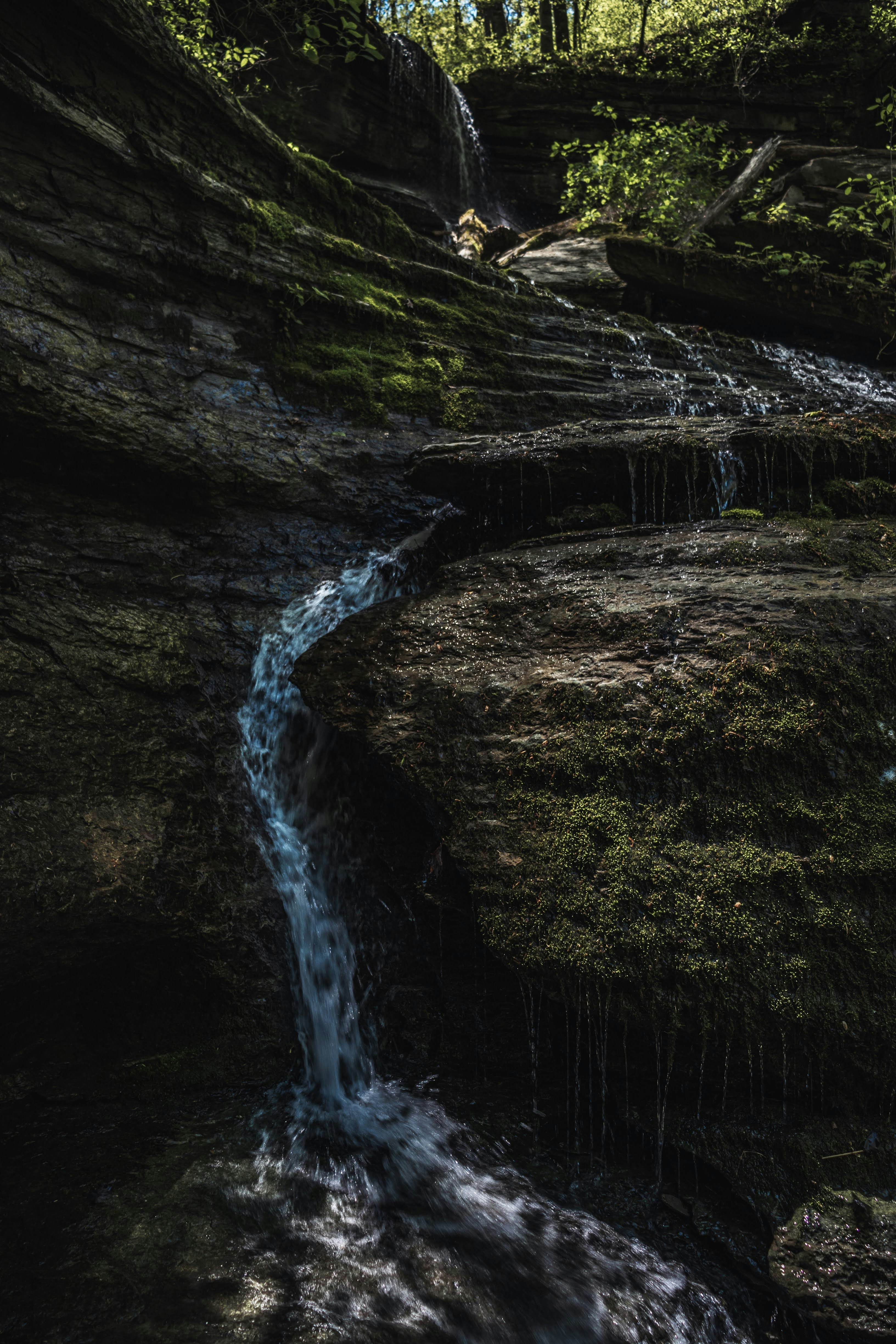 Photo by brice_cooper18