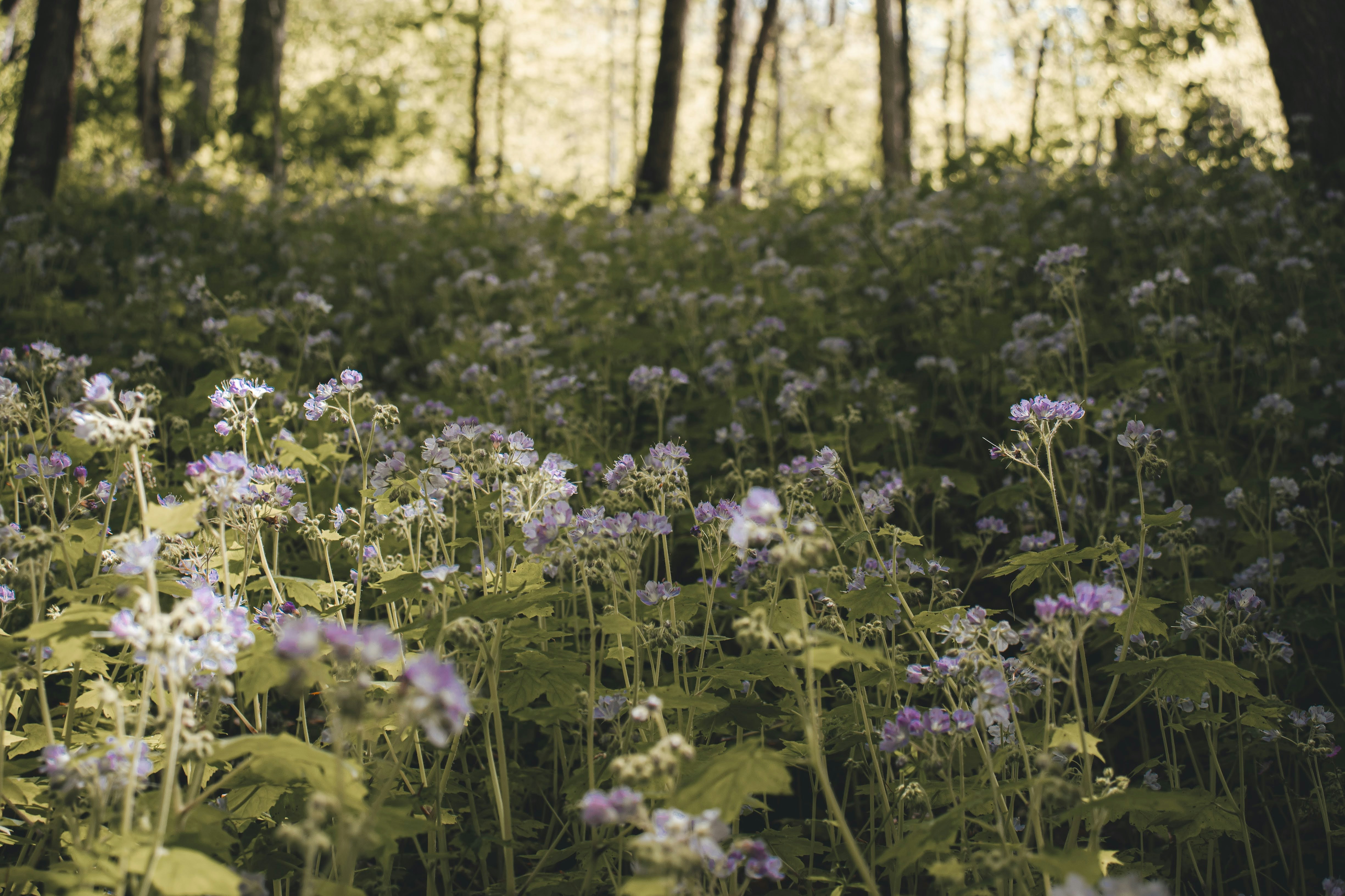 Photo by brice_cooper18