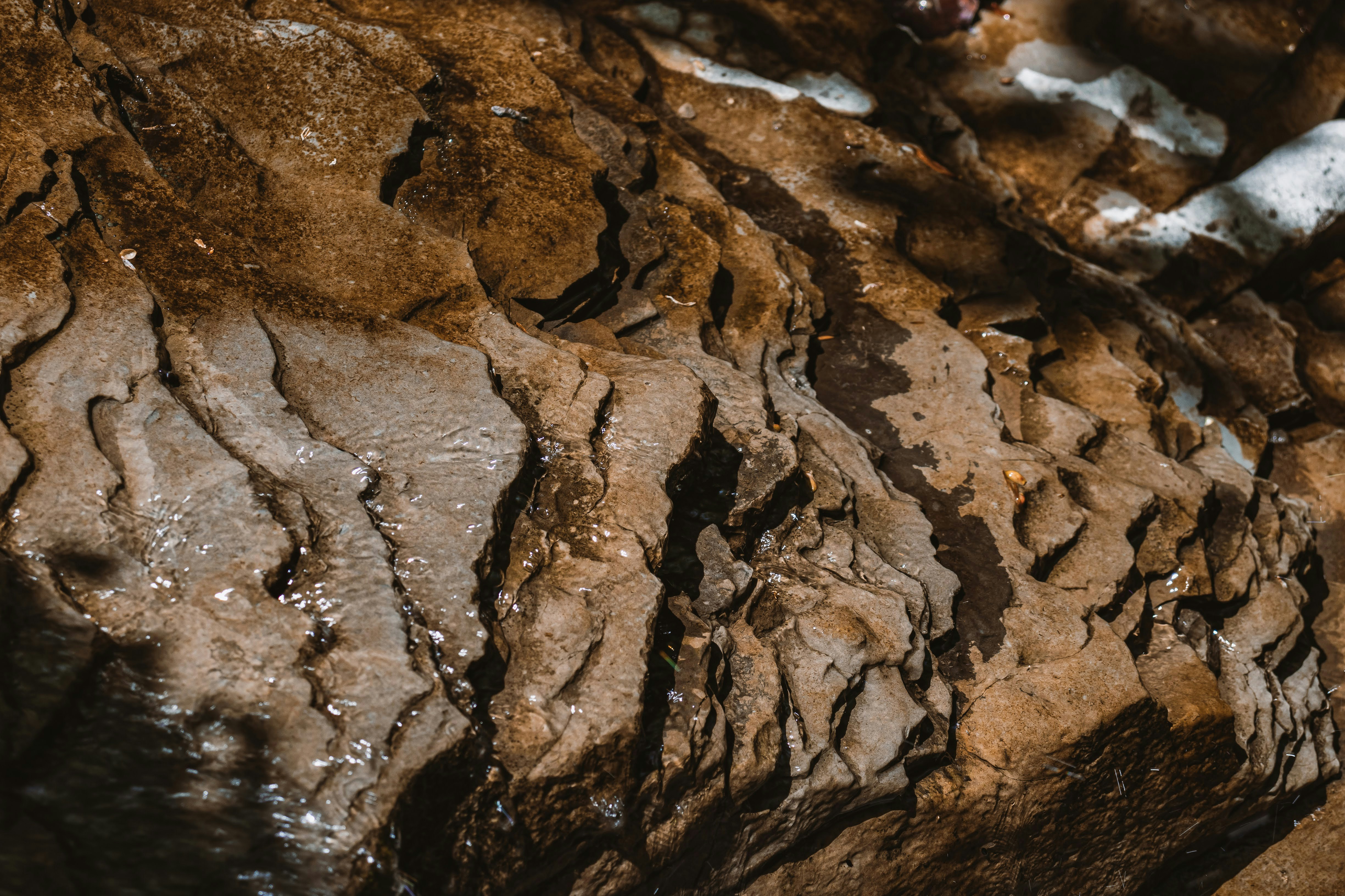 Photo by brice_cooper18