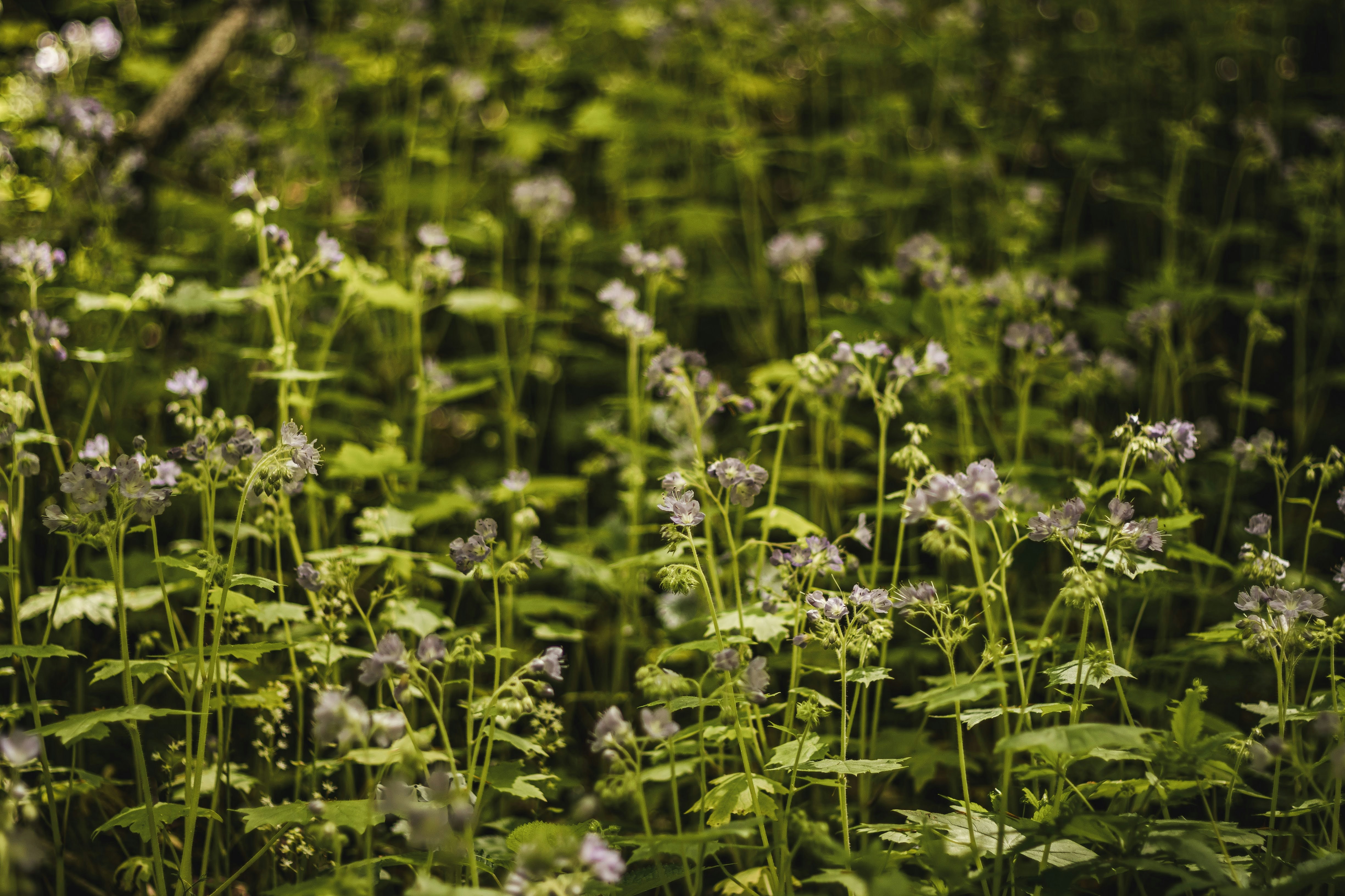 Photo by brice_cooper18