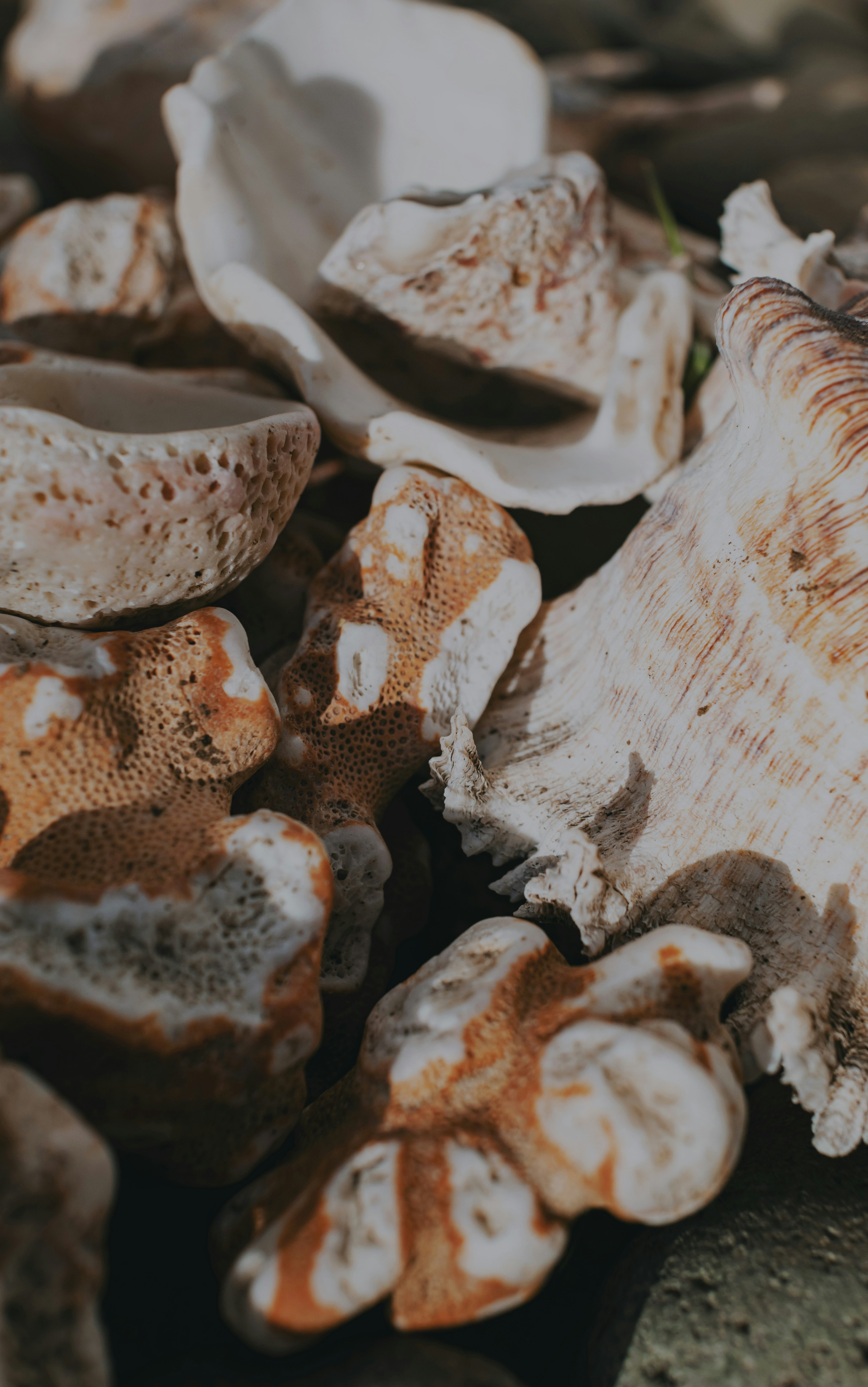 Photo by roadahead_2223