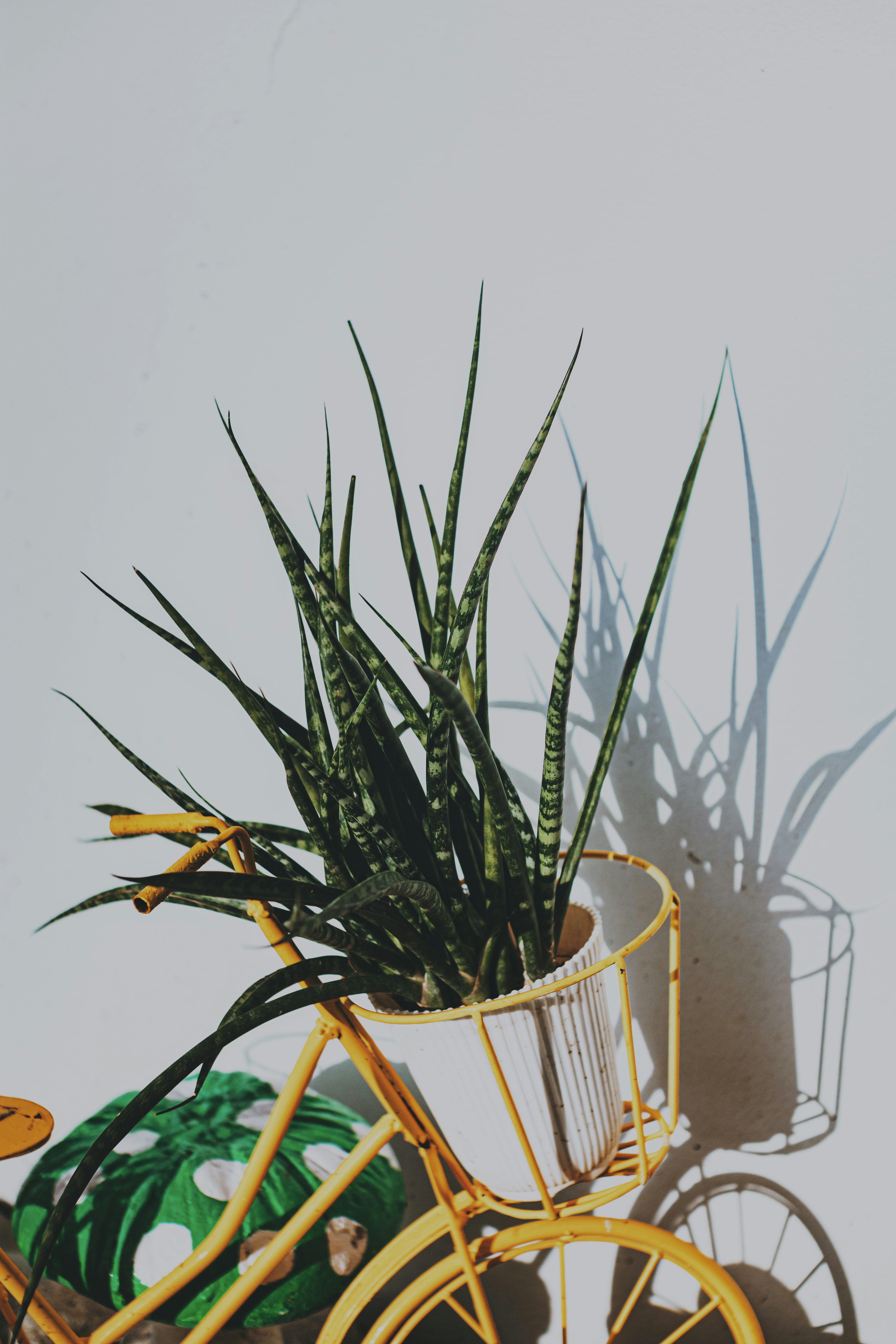 Photo by roadahead_2223