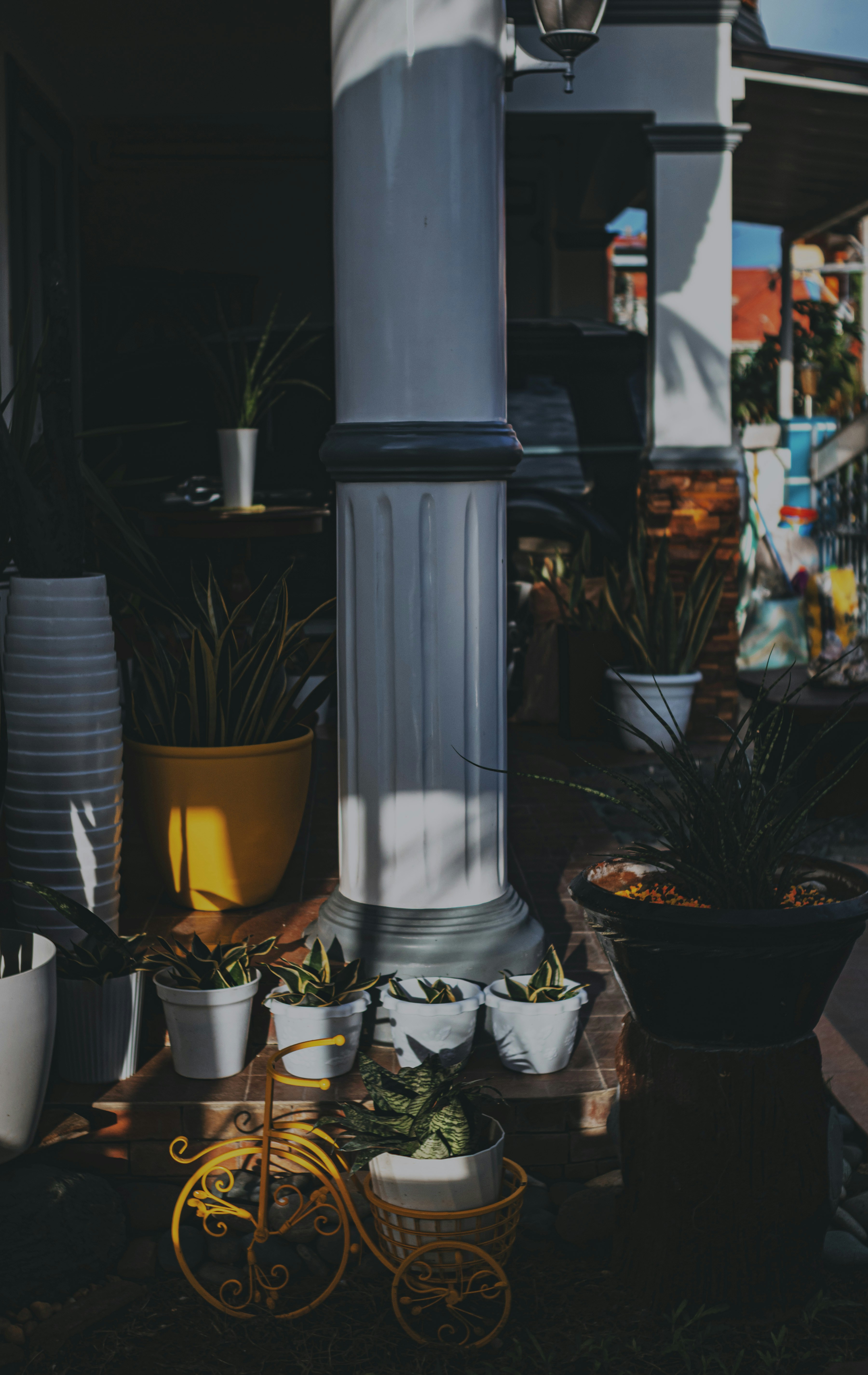 Photo by roadahead_2223