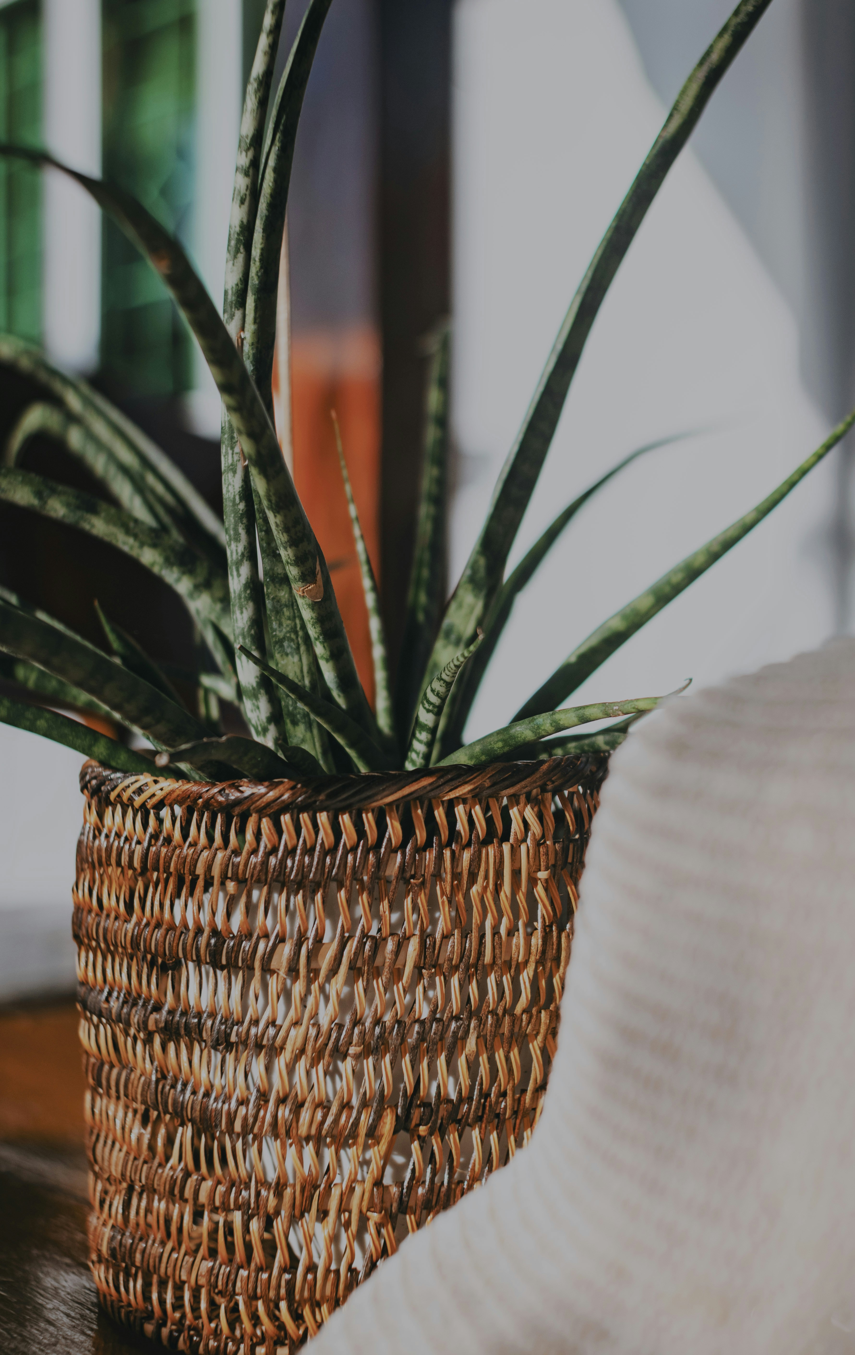 Photo by roadahead_2223