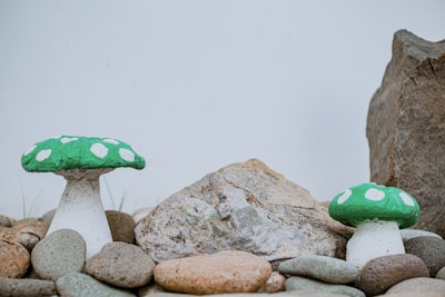 Two decorative mushroom sculptures with green caps and white spots are positioned among variously sized and colored pebbles and stones. These stones range from light gray to brown, with a large, rugged rock in the background against a plain white wall.