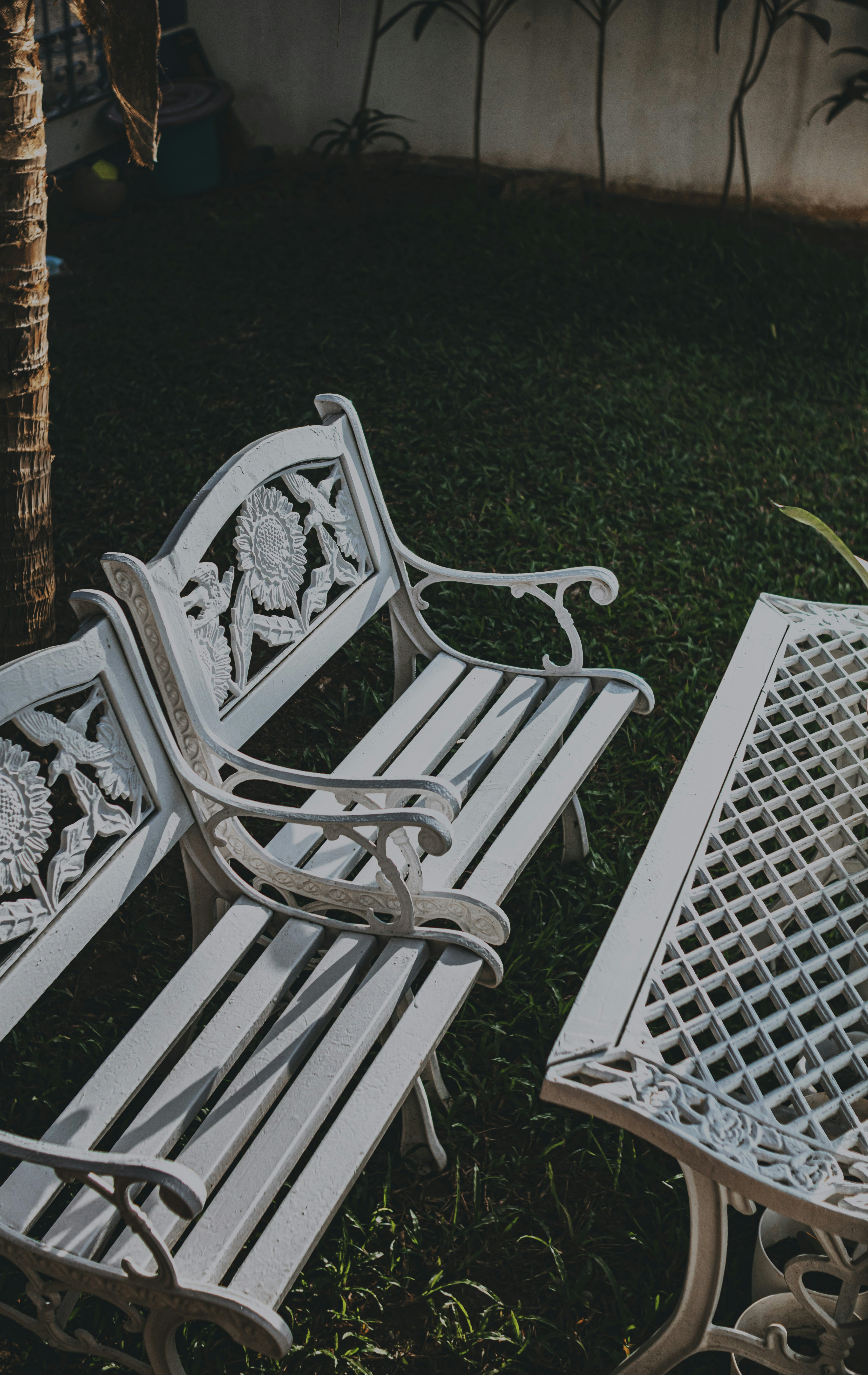 Photo by roadahead_2223