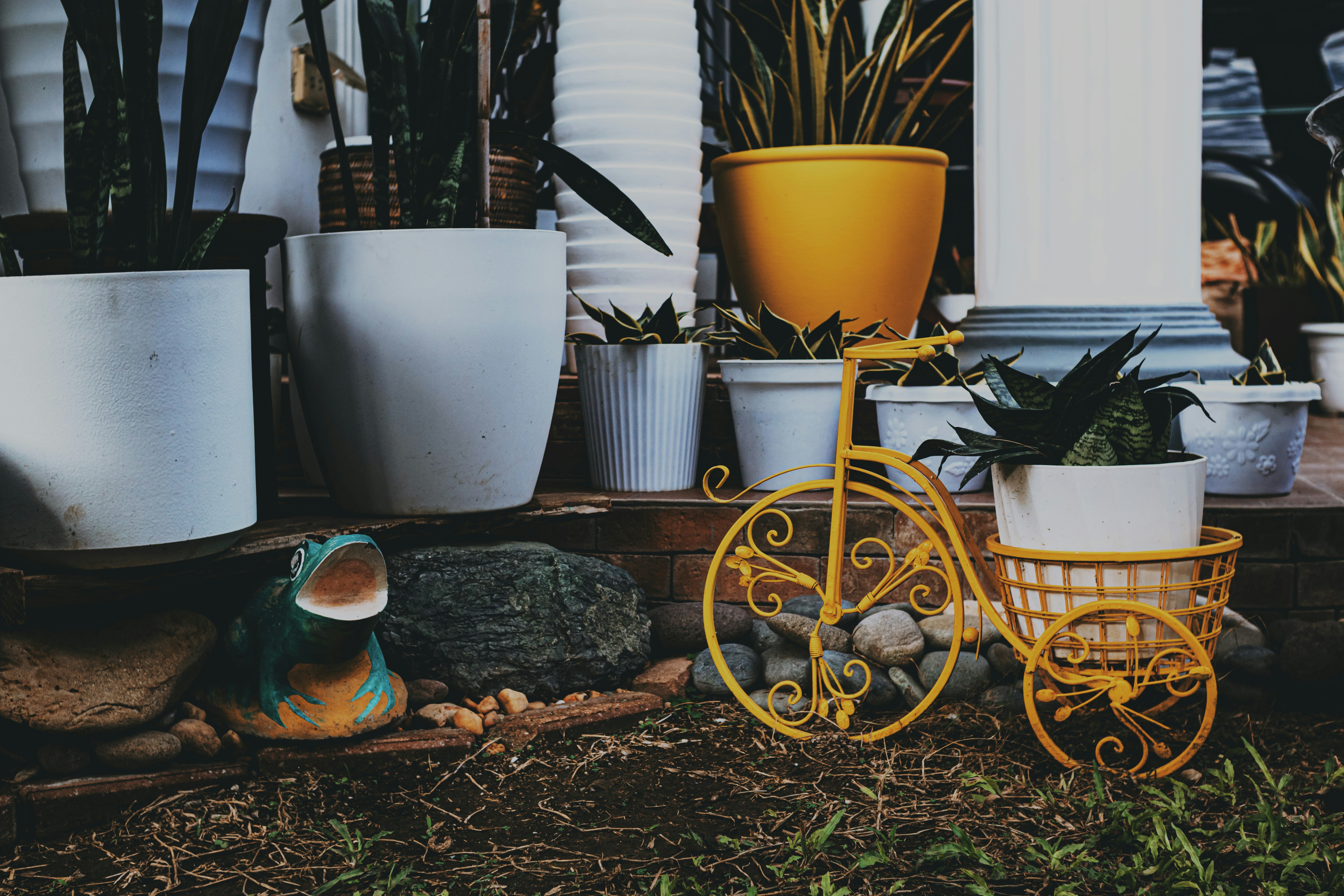 Photo by roadahead_2223