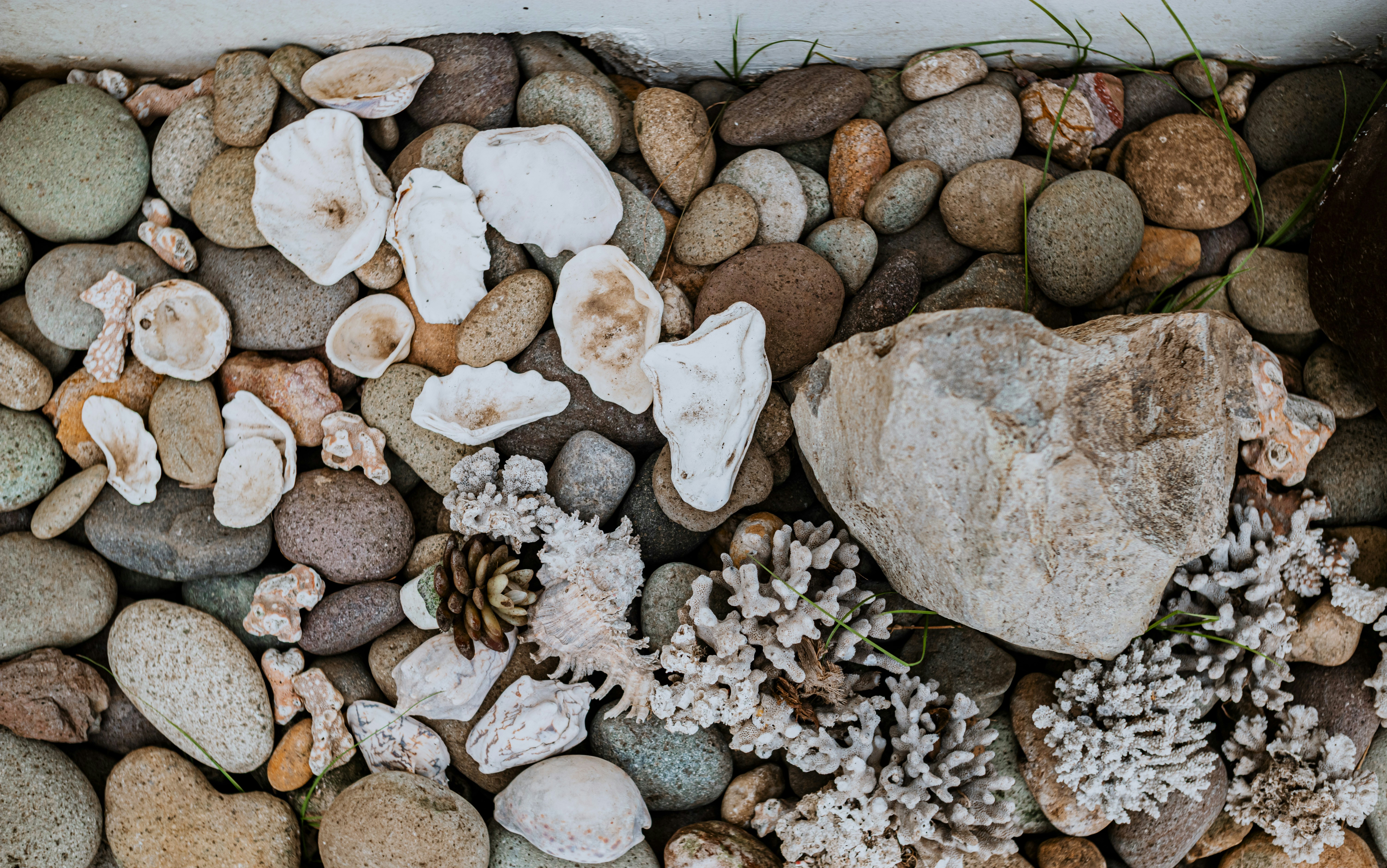 Photo by roadahead_2223