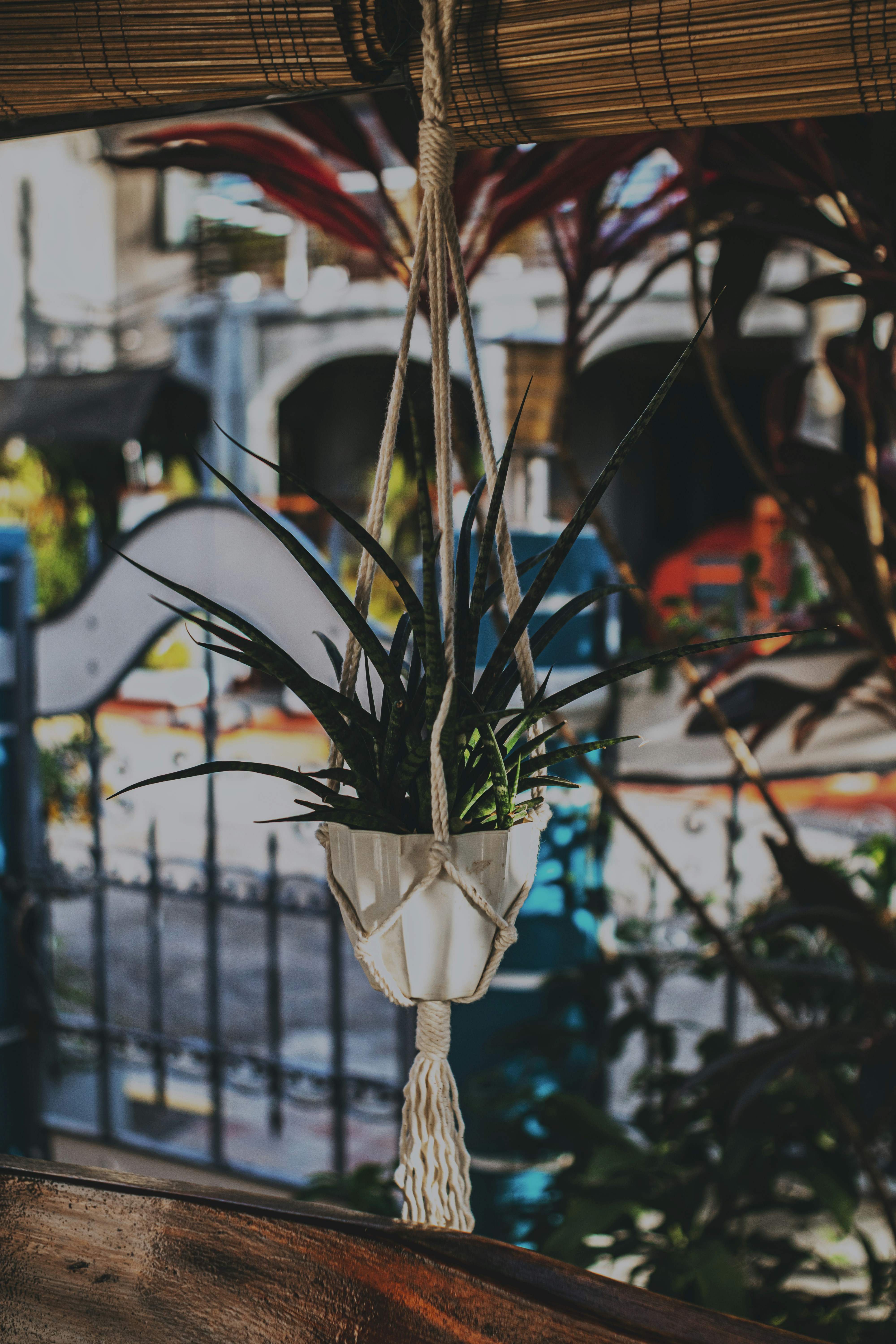 Photo by roadahead_2223