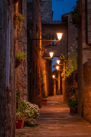A cobblestone alley lined with ivy-covered buildings and twinkling fairy lights at dusk.