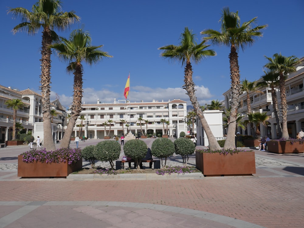 a building with palm trees and a flag on top