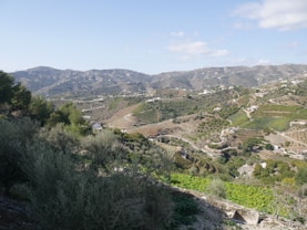 A picturesque rural landscape with rolling hills covered in vineyards and olive groves. Scattered white buildings are interspersed throughout the verdant countryside. The clear blue sky and distant mountains contribute to a serene and idyllic atmosphere.