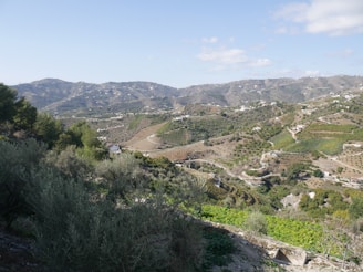 A picturesque rural landscape with rolling hills covered in vineyards and olive groves. Scattered white buildings are interspersed throughout the verdant countryside. The clear blue sky and distant mountains contribute to a serene and idyllic atmosphere.