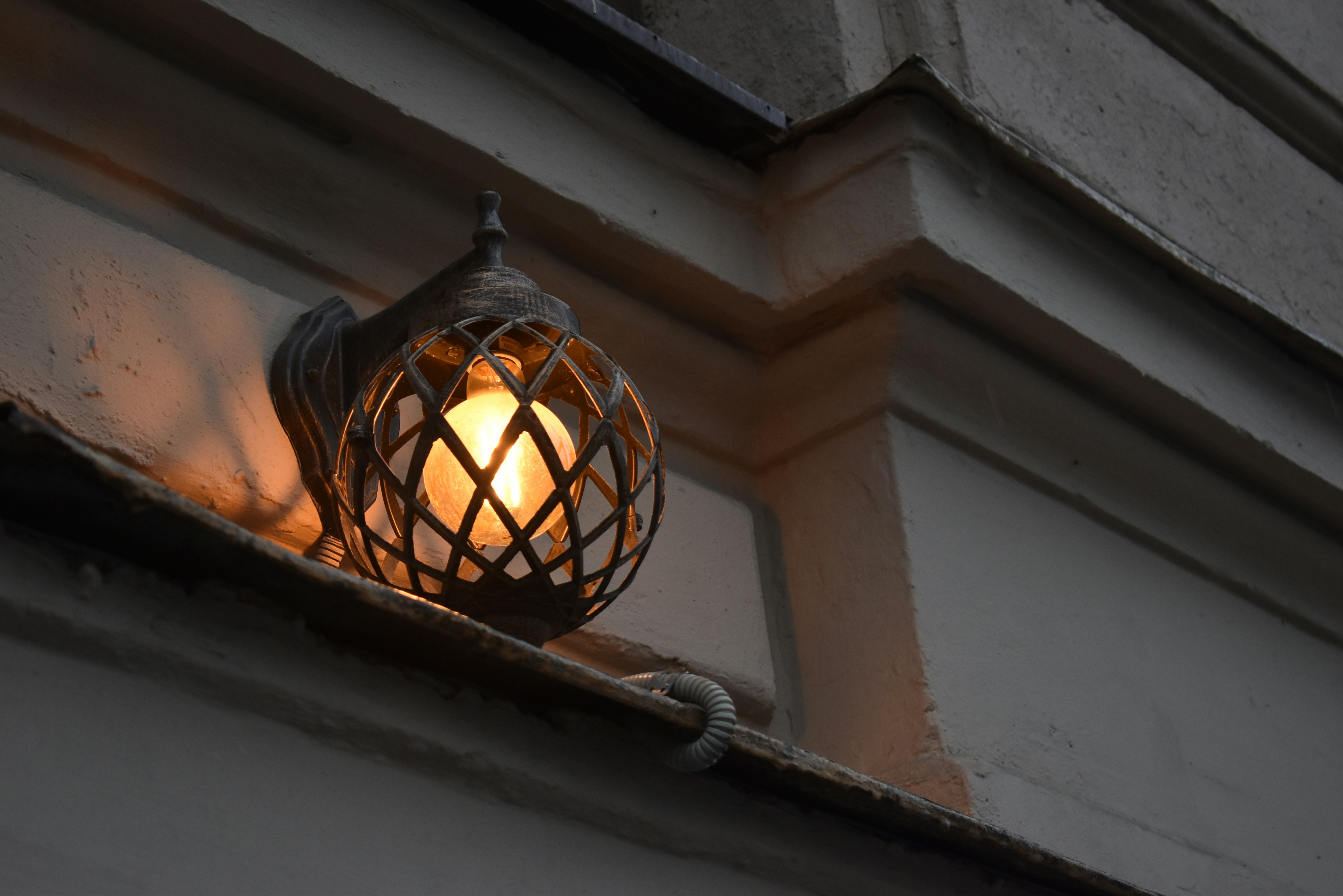 Photo by stado_bobrov