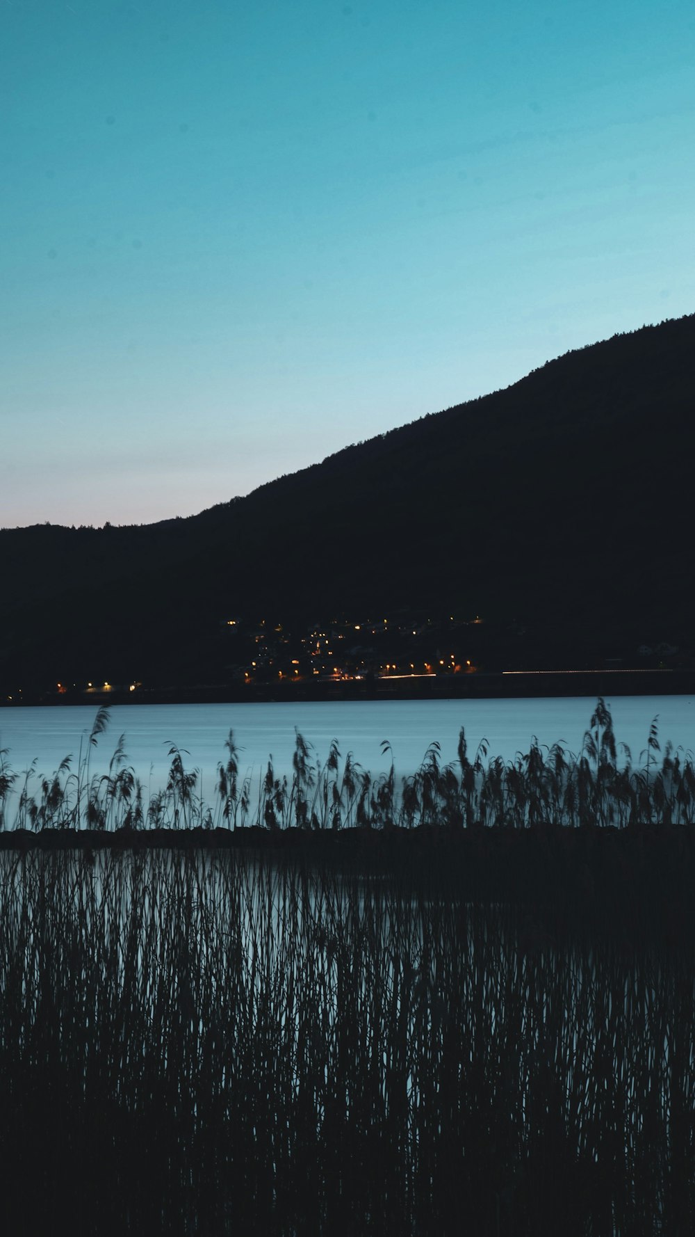 a body of water with trees and a city in the background