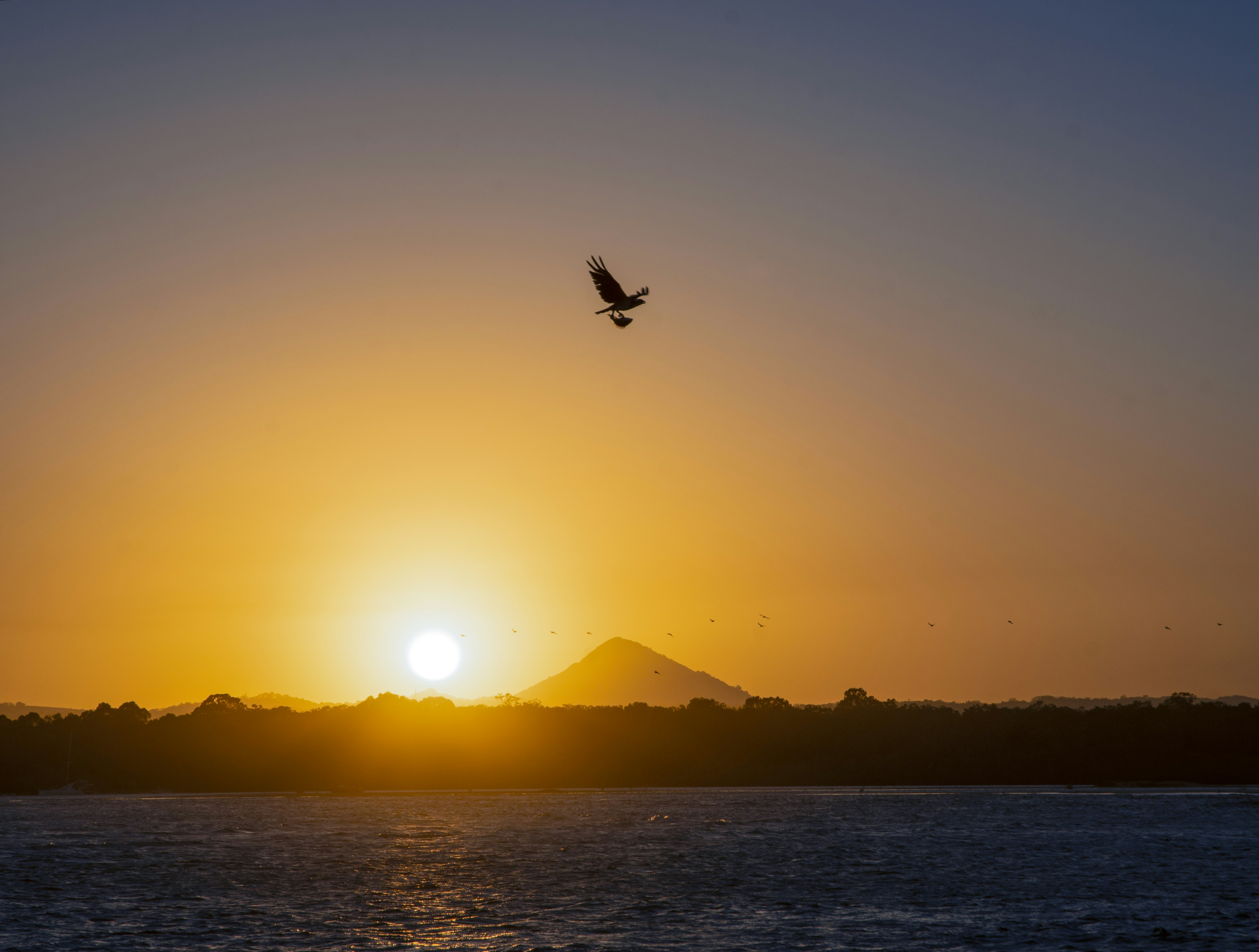 Photo by manuelcampana_