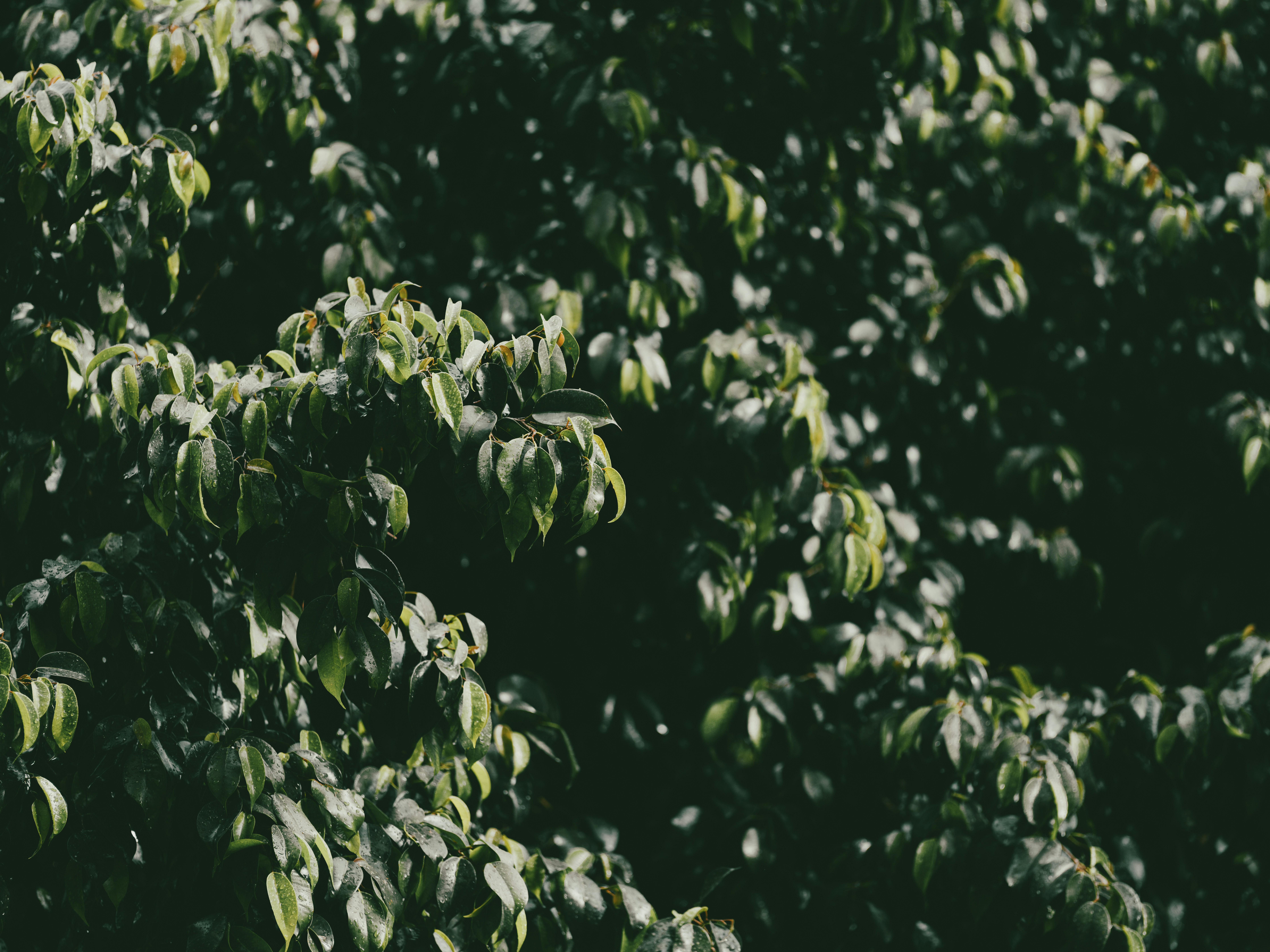 Photo by enginakyurt