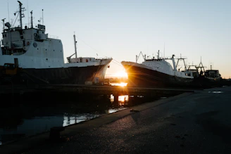 a couple of boats docked