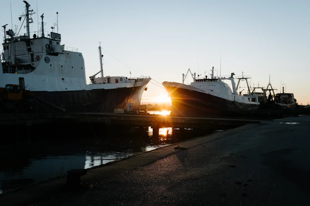 a couple of boats docked