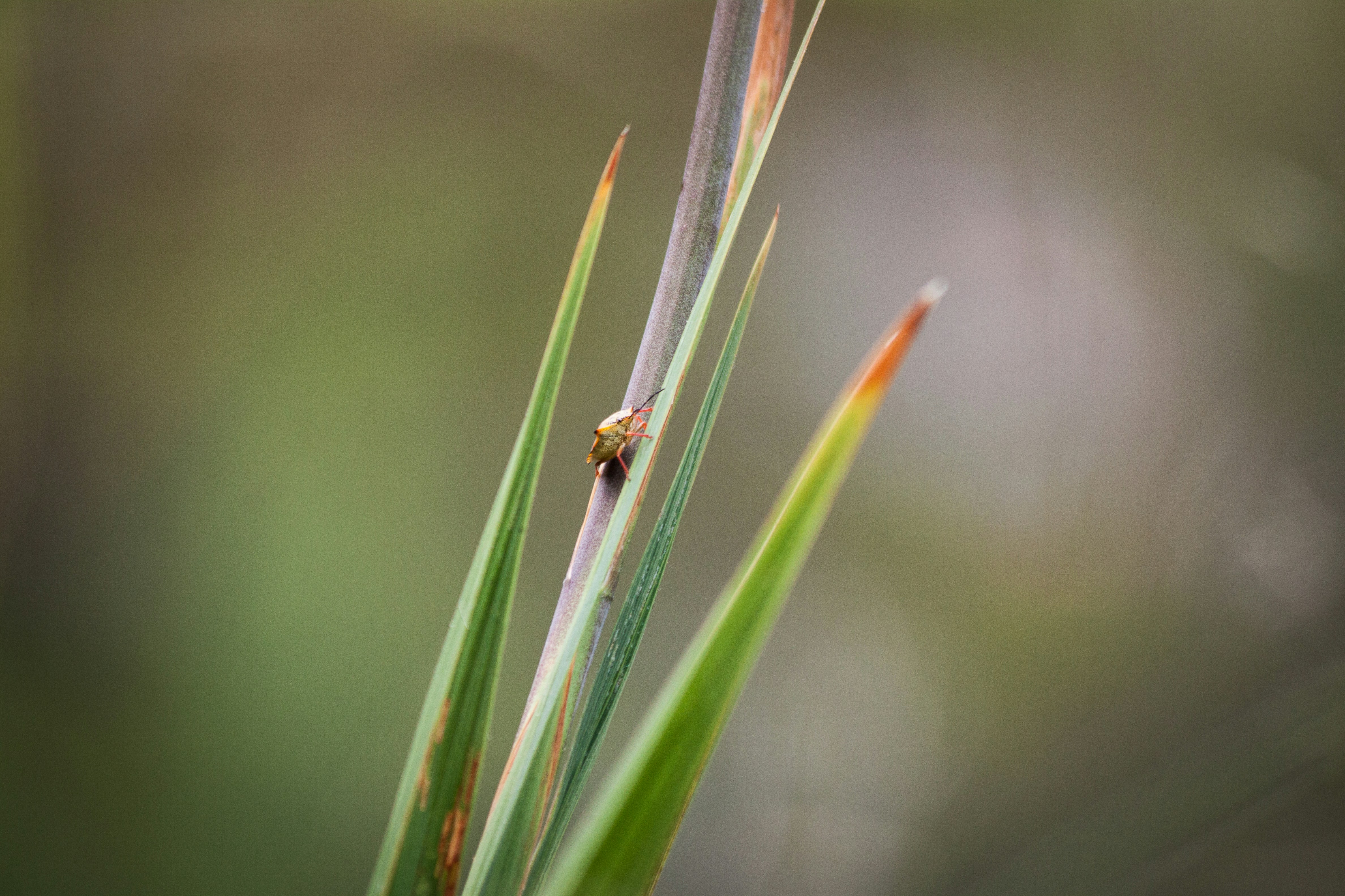 Photo by docmasky
