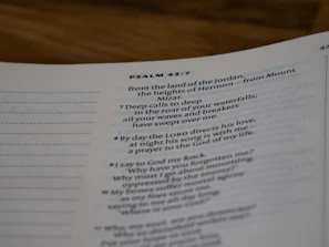 A clean, minimalist screen showing scripture verses organized by topics like peace and healing.