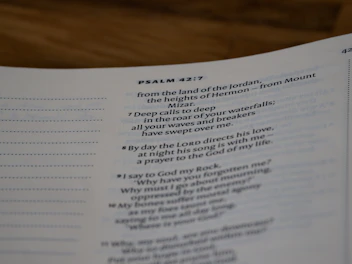 A collection of scripture-based puzzles with gentle sage green accents on a clean white background.