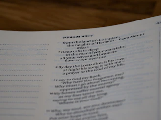 A collection of scripture-based puzzles with gentle sage green accents on a clean white background.