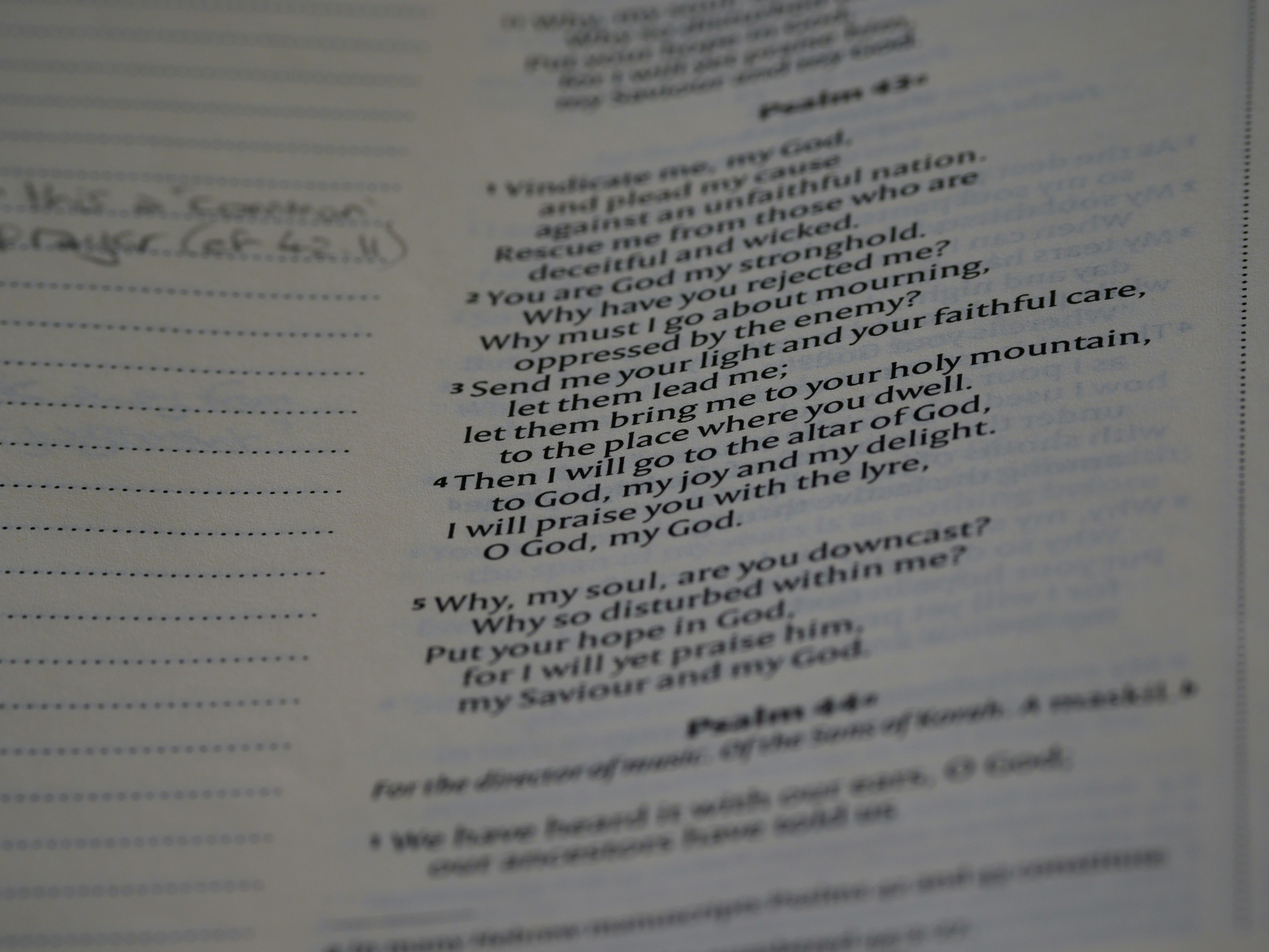 Photo by brett_jordan