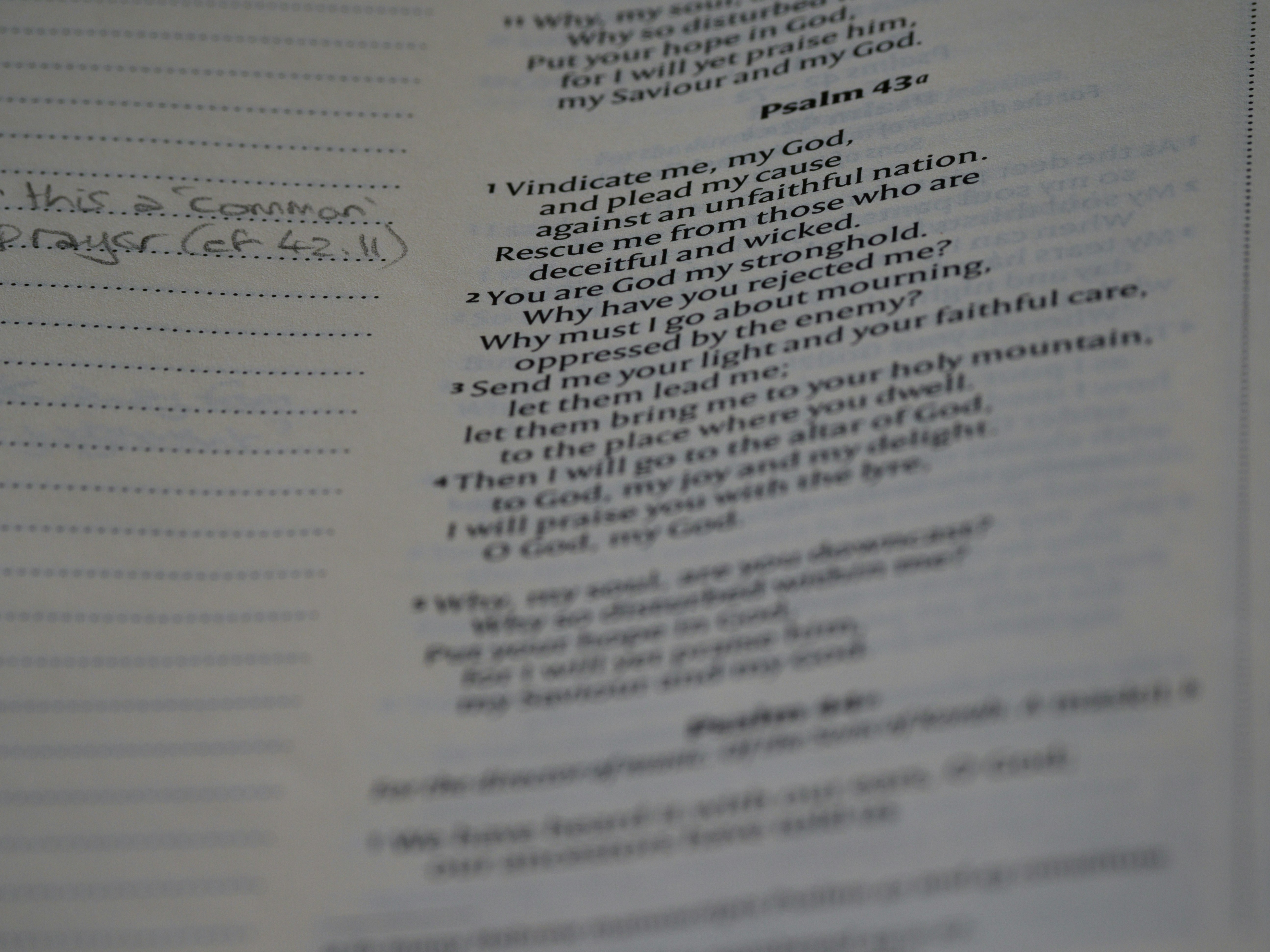 Photo by brett_jordan