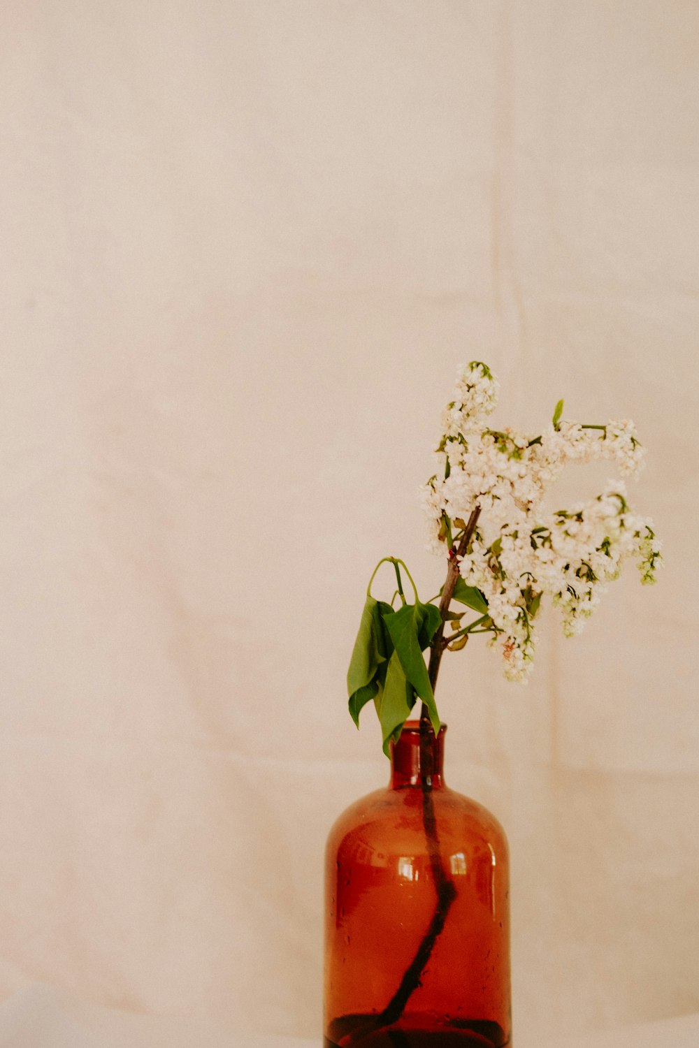 a vase with flowers