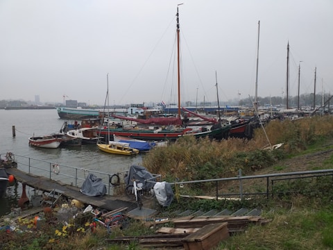 A fleet of various vessels docked at a port.