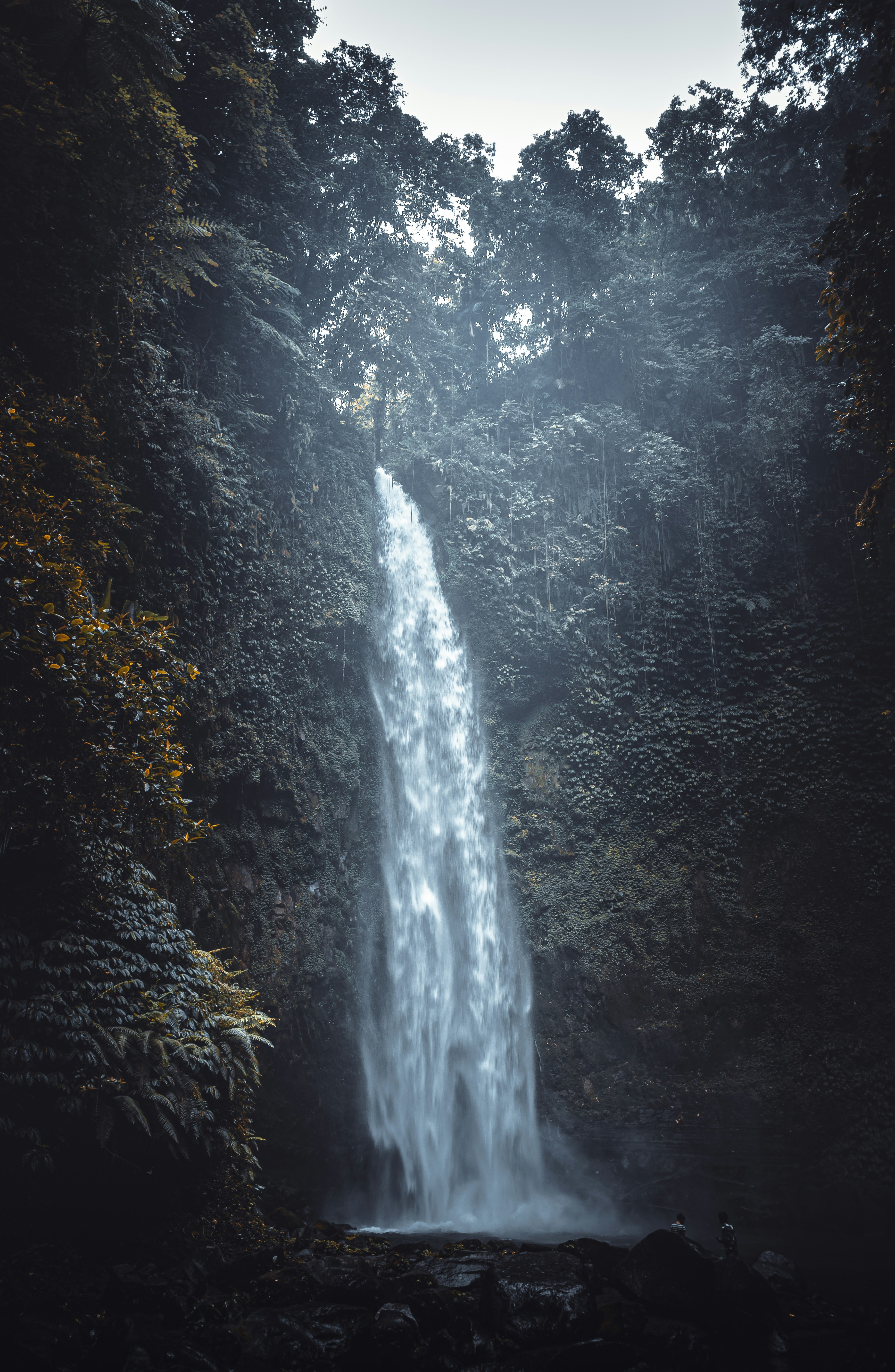 Photo by louisalexanders