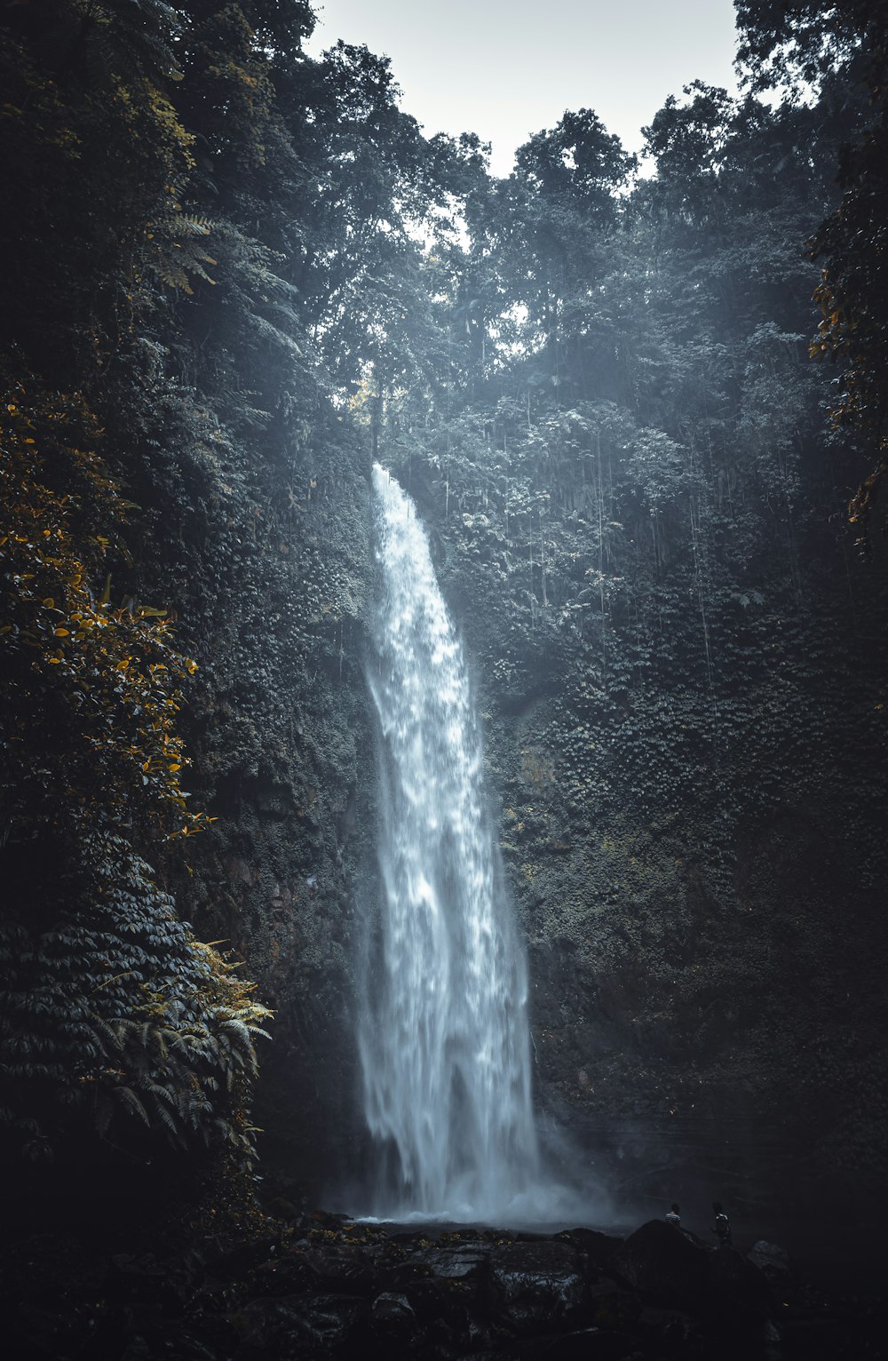 a waterfall in a forest