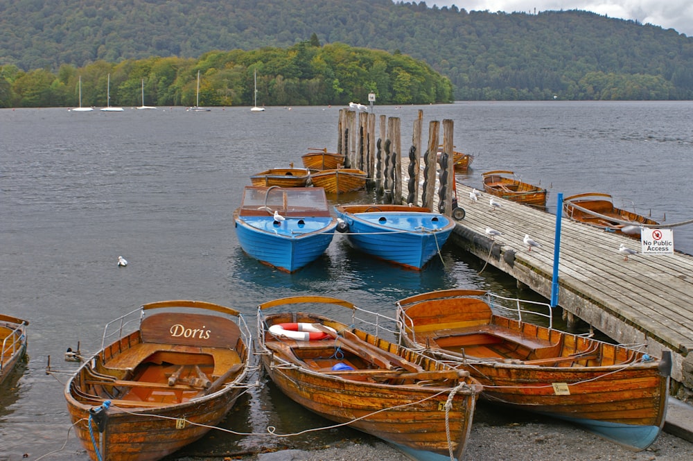 boats docked at a pier