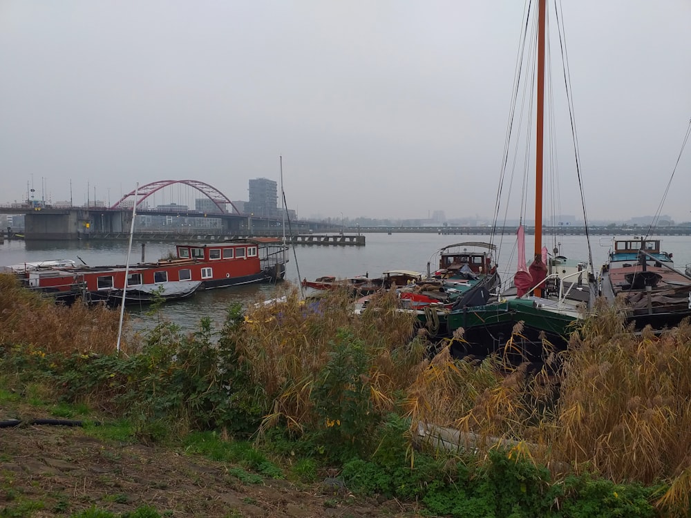 boats docked at a pier