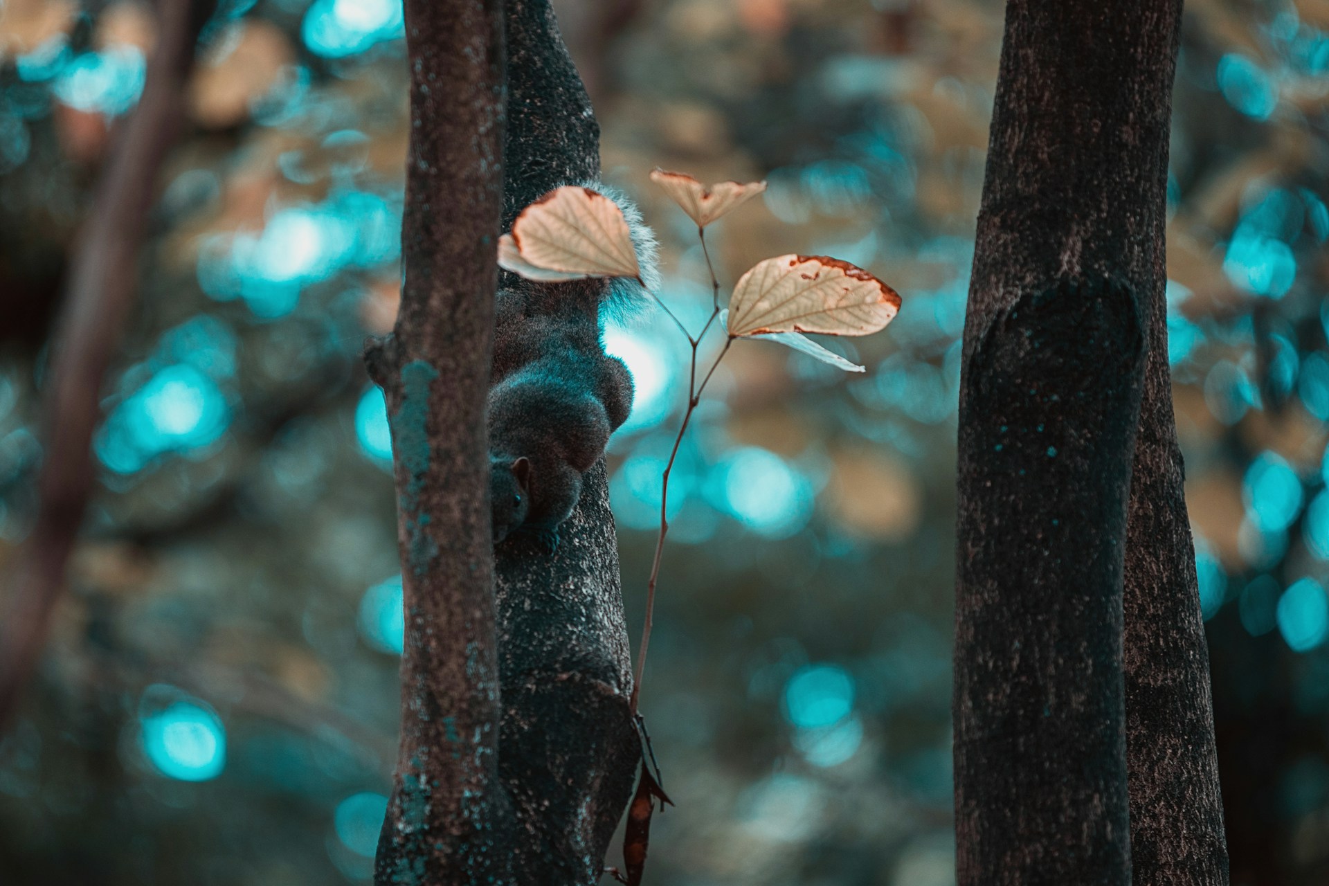 a close-up of a mushroom