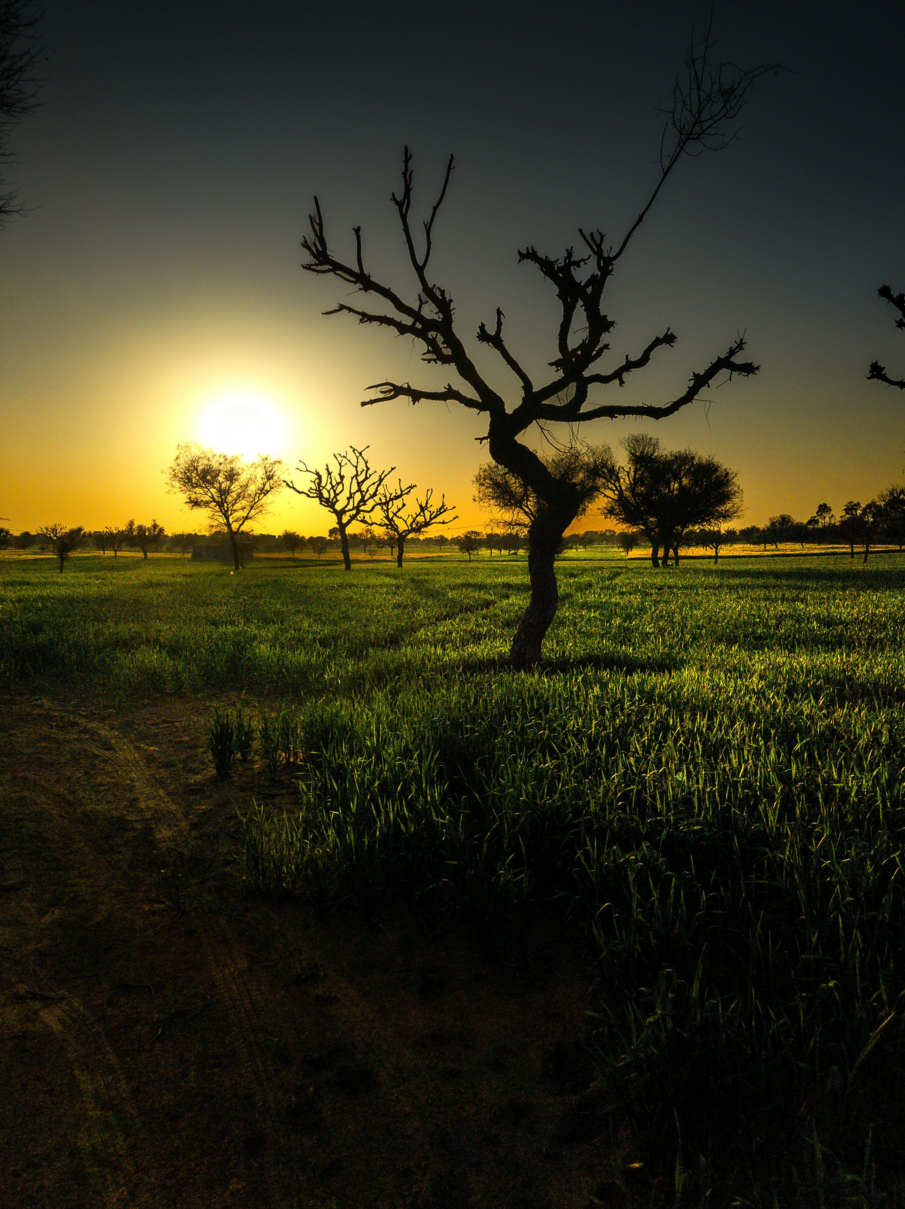 Photo by deveshsangwan