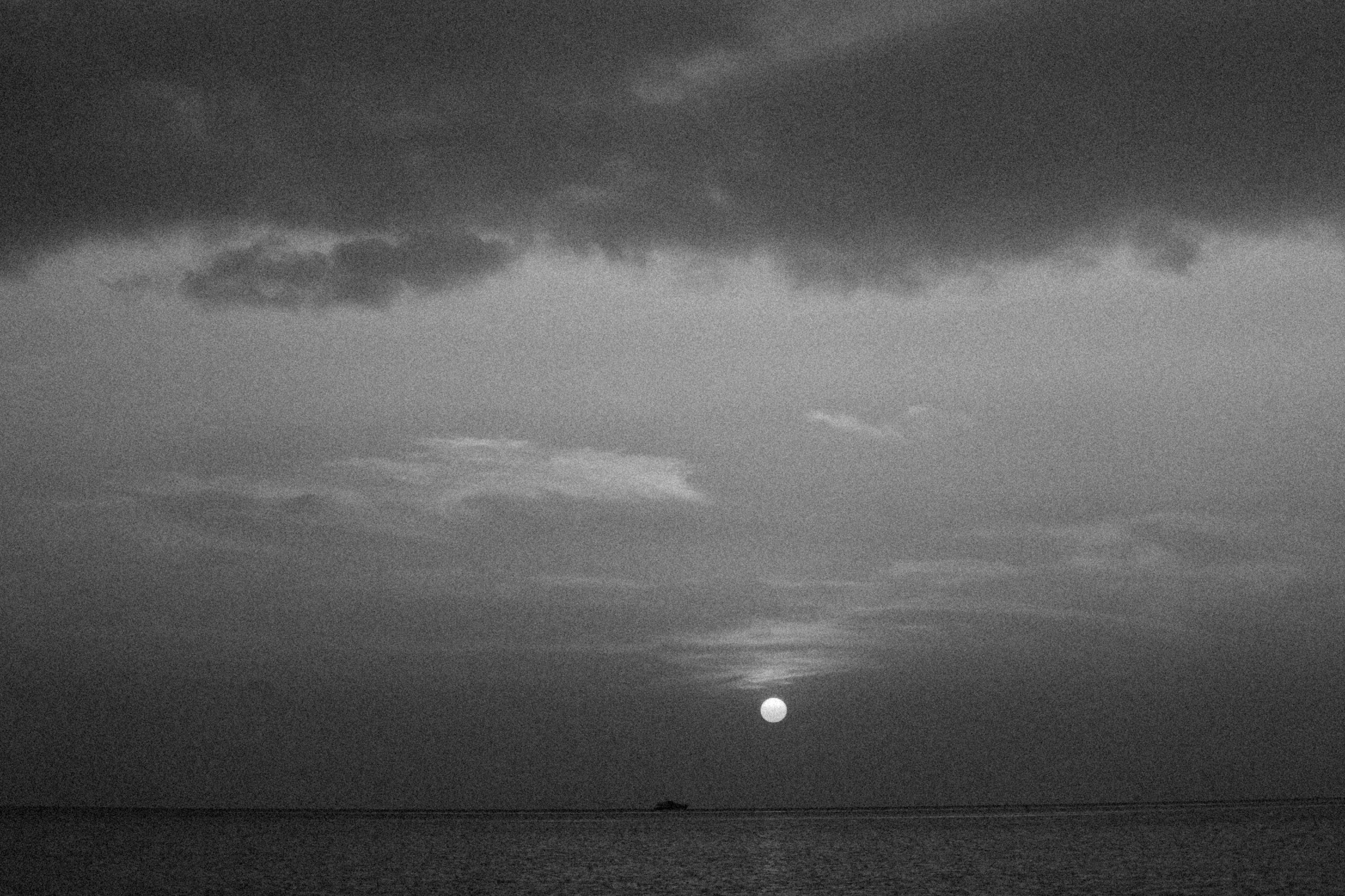 Photo by alexeydemidov